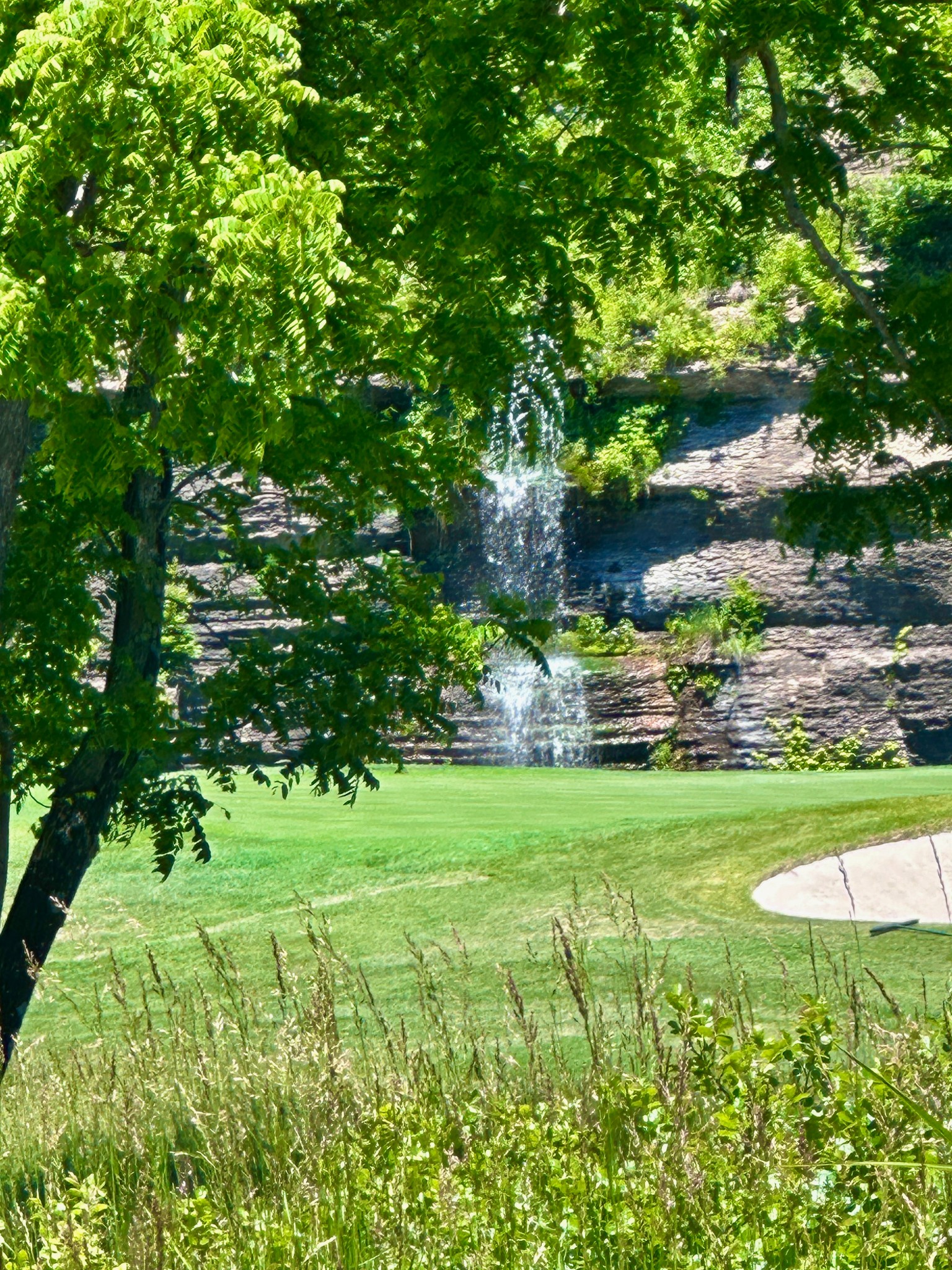 1011 Champion Hills Dr, Kingston Springs, TN, 37082 - 物件實景