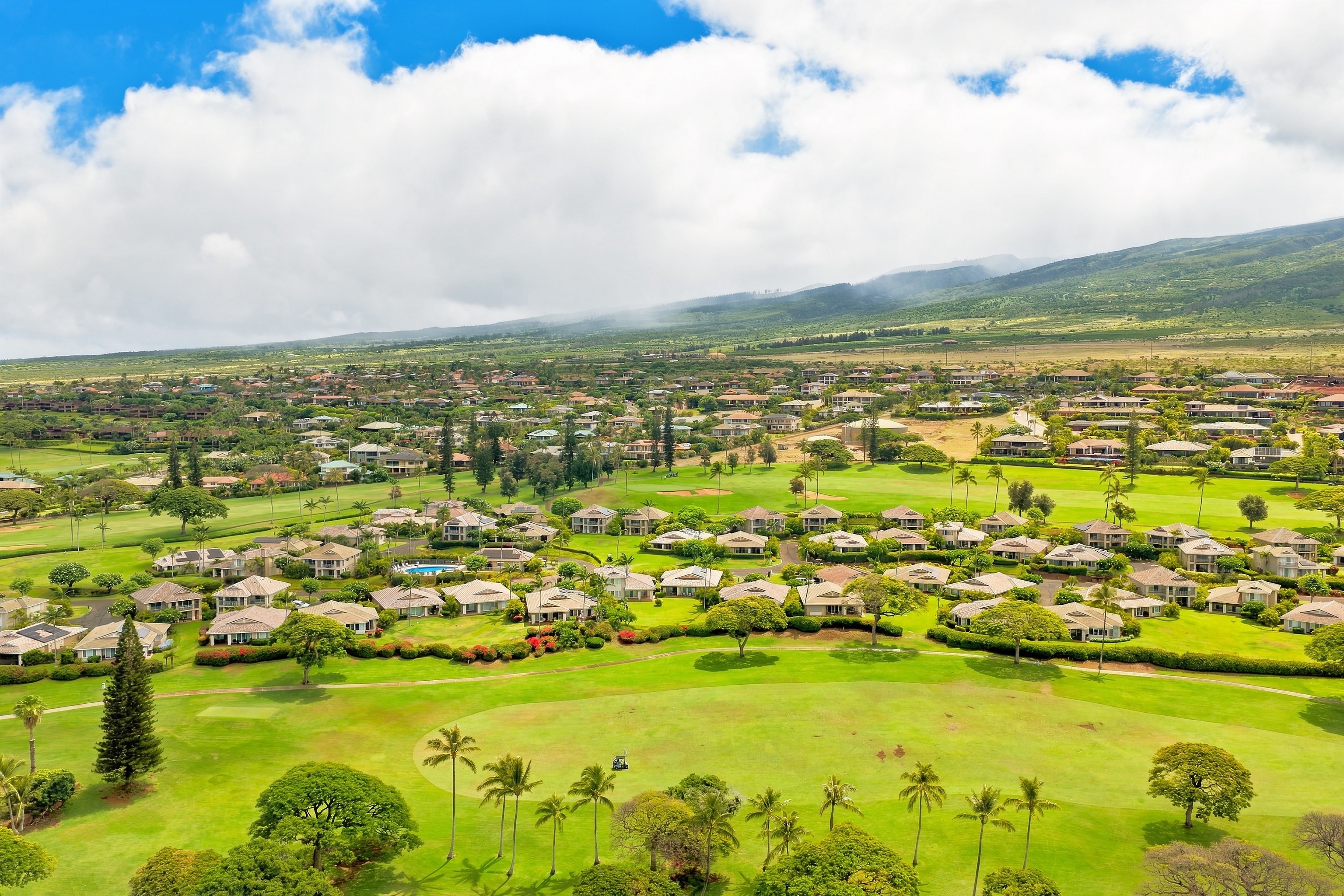  Elevated Island Living at the Vintage at Kaanapali - 物件實景