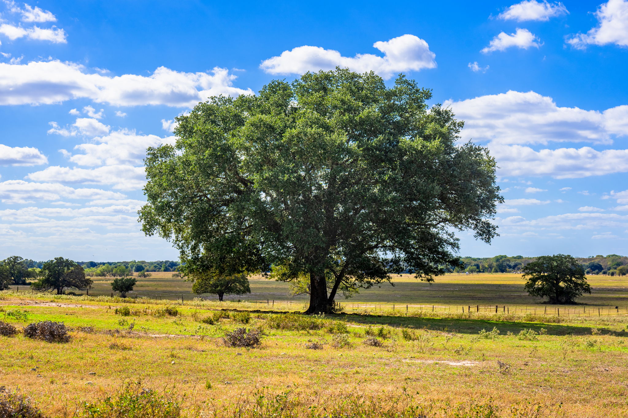  Bar Nothing Ranch, Fayette County - 物件實景