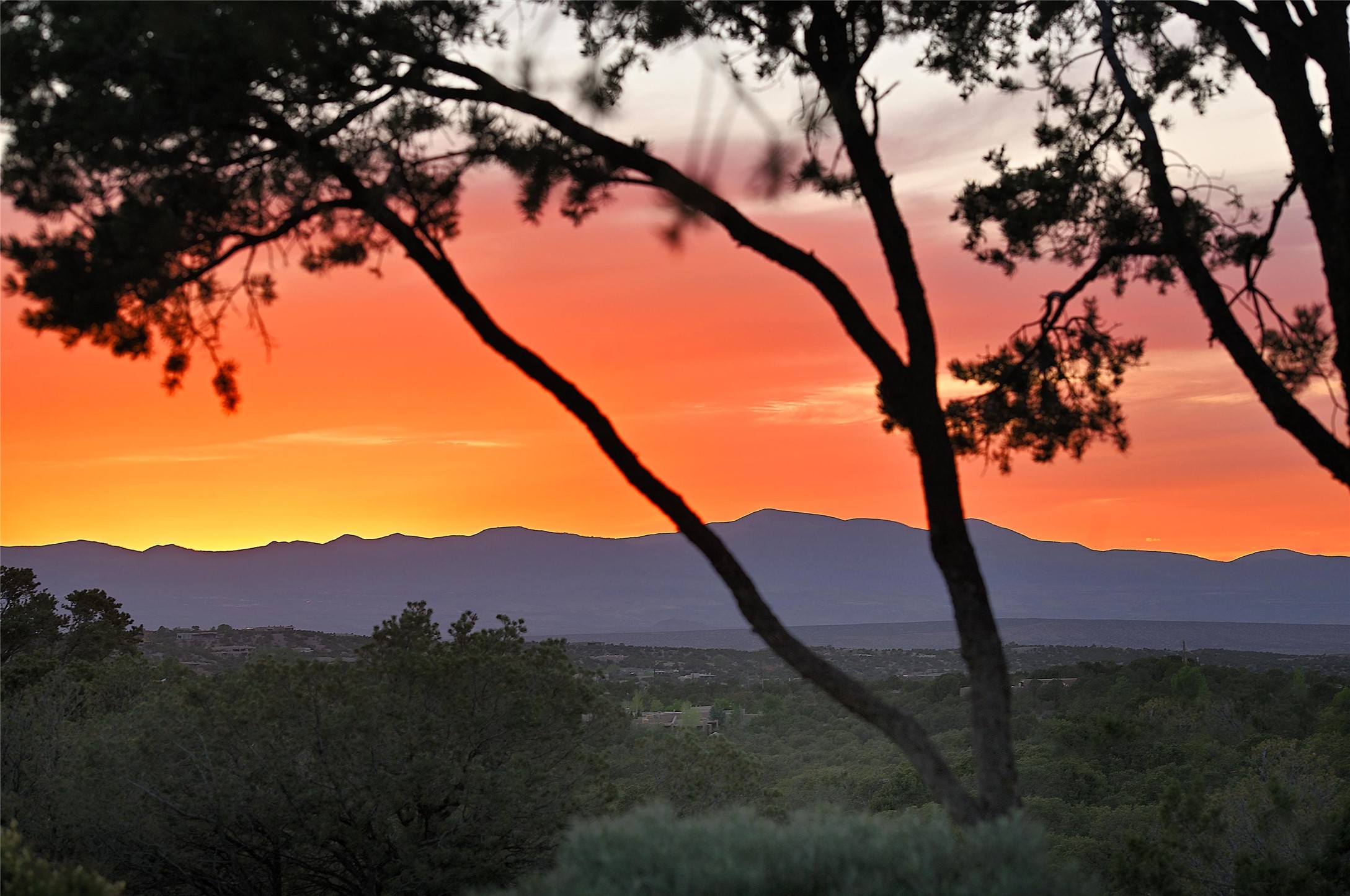  196 Circle Drive - 物件實景