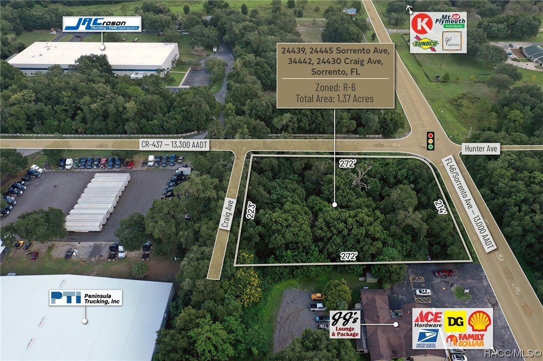 24439 Sorrento Avenue, Mount Dora, Florida, 32776, United States, ,Residential,For Sale,24439 Sorrento Avenue,1348352