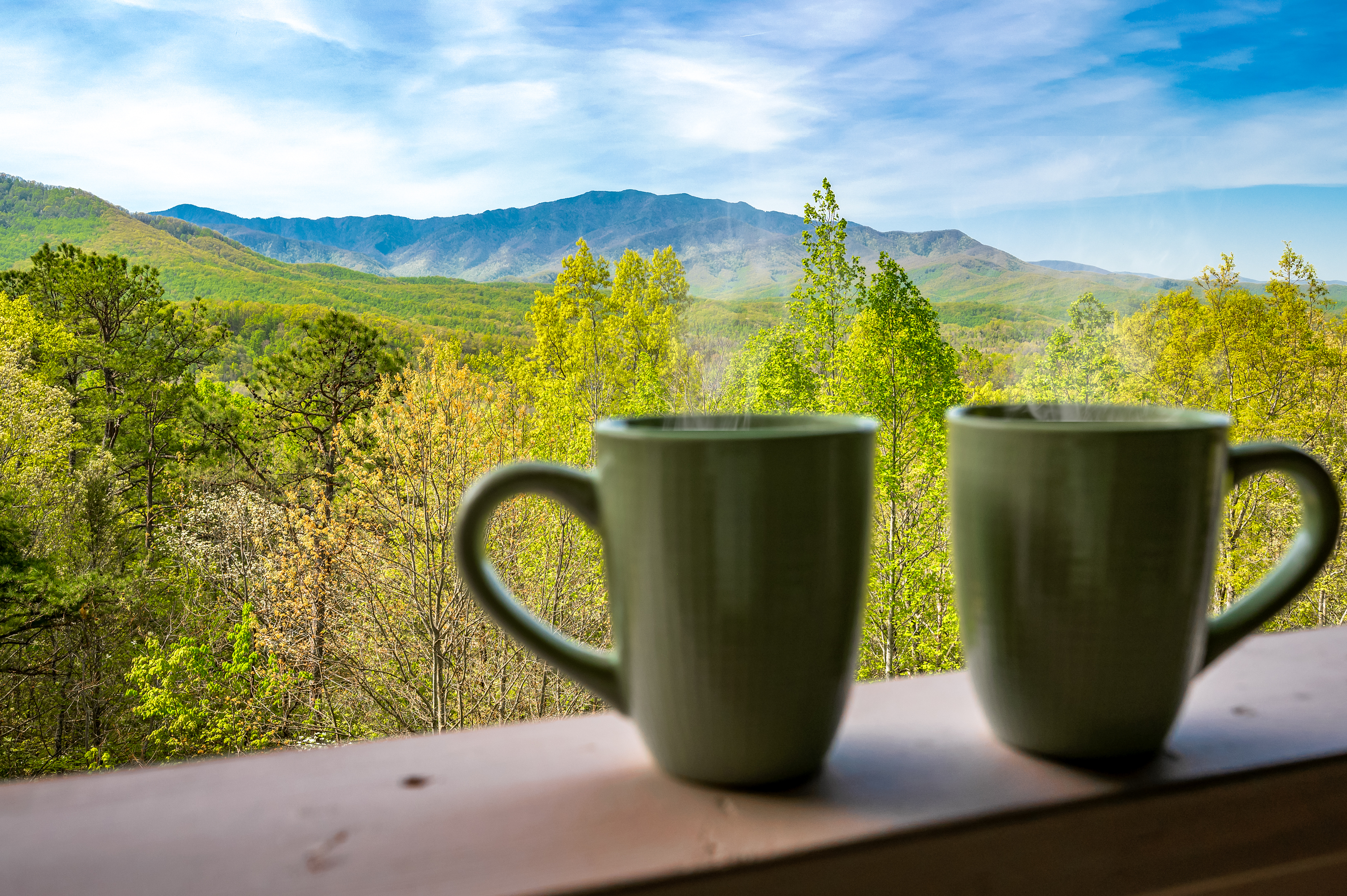 Gatlinburg, Tennessee, 37738, United States, 3 Bedrooms Bedrooms, ,2 BathroomsBathrooms,Residential,For Sale,1987408