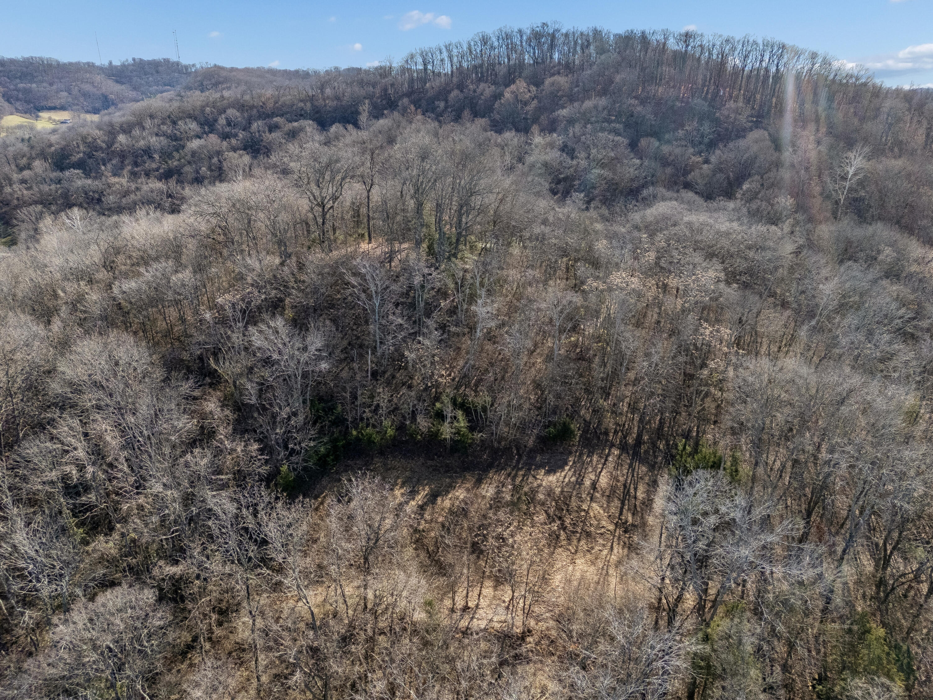 Brentwood, Tennessee, 37027, United States, ,Land,For Sale,2005446