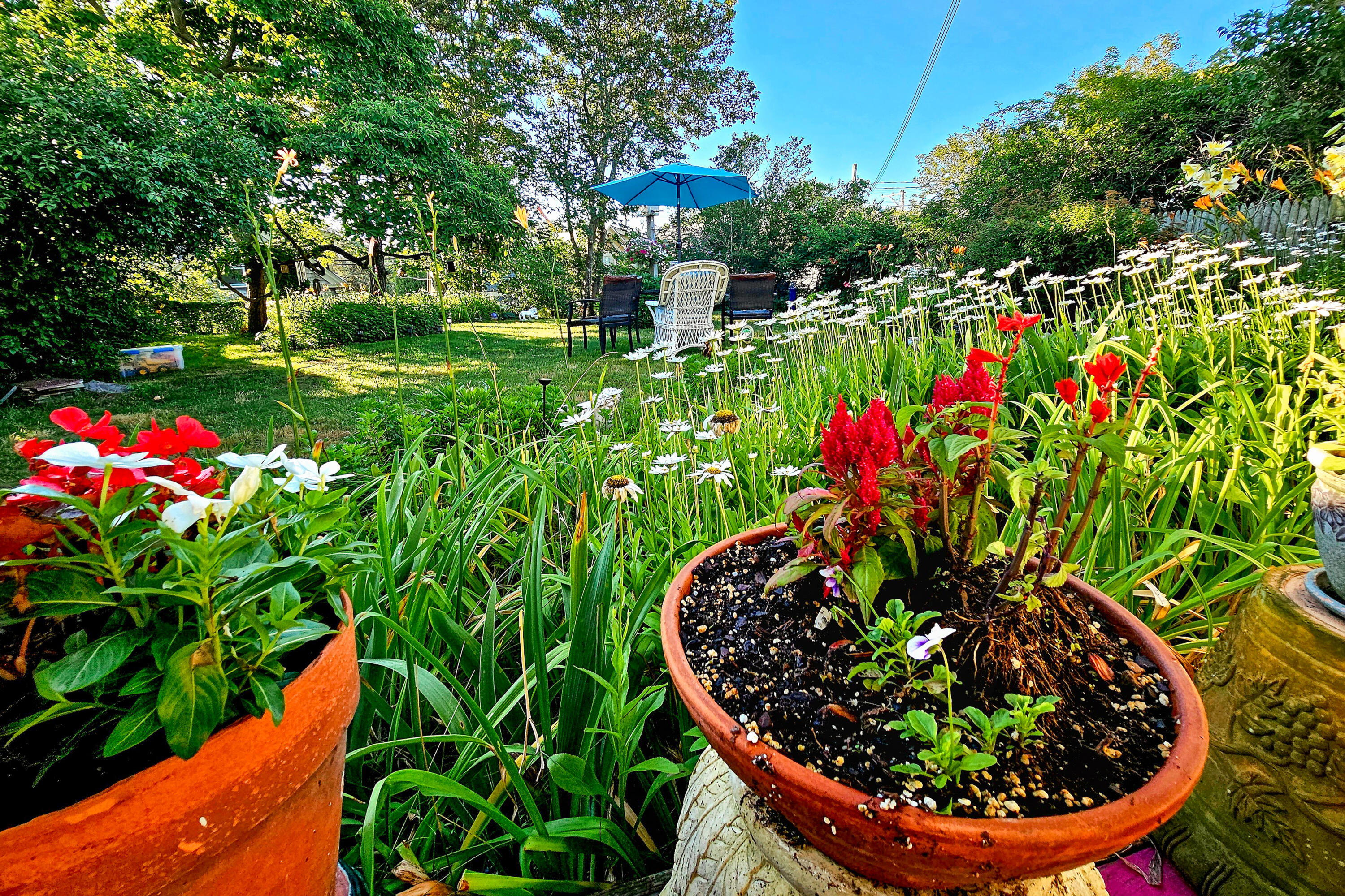  West End Legacy with Bay Views and Rare Outdoor Space - 物件實景