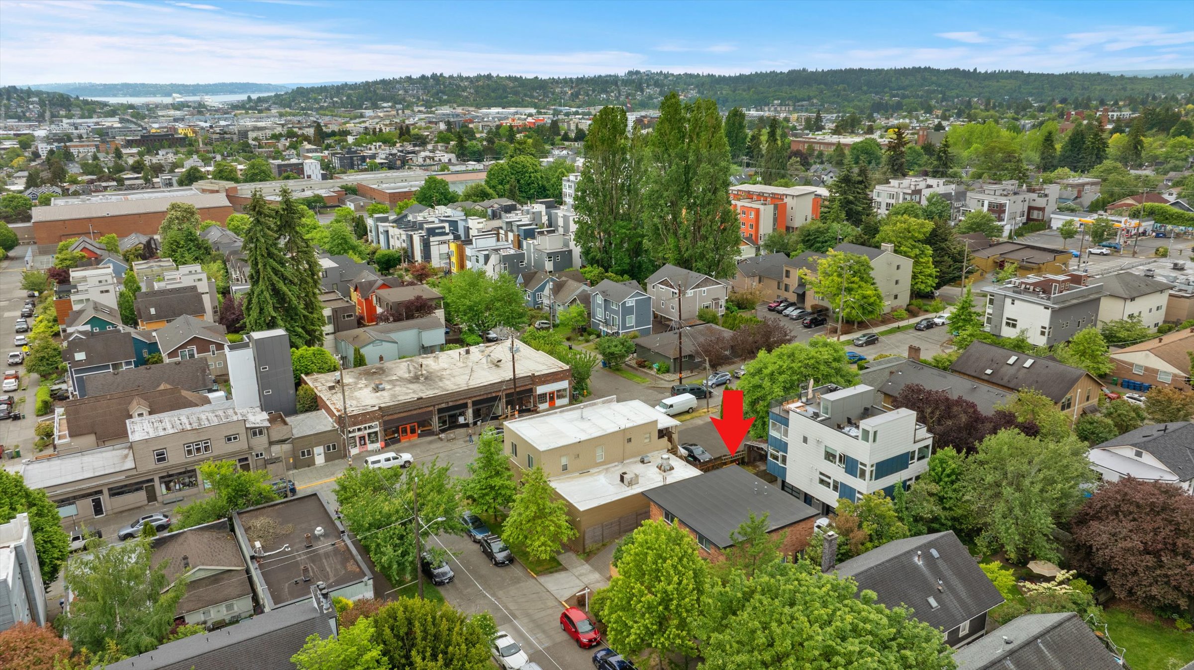  7007 Alonzo Ave NW, Seattle, WA 98117 - 物件實景
