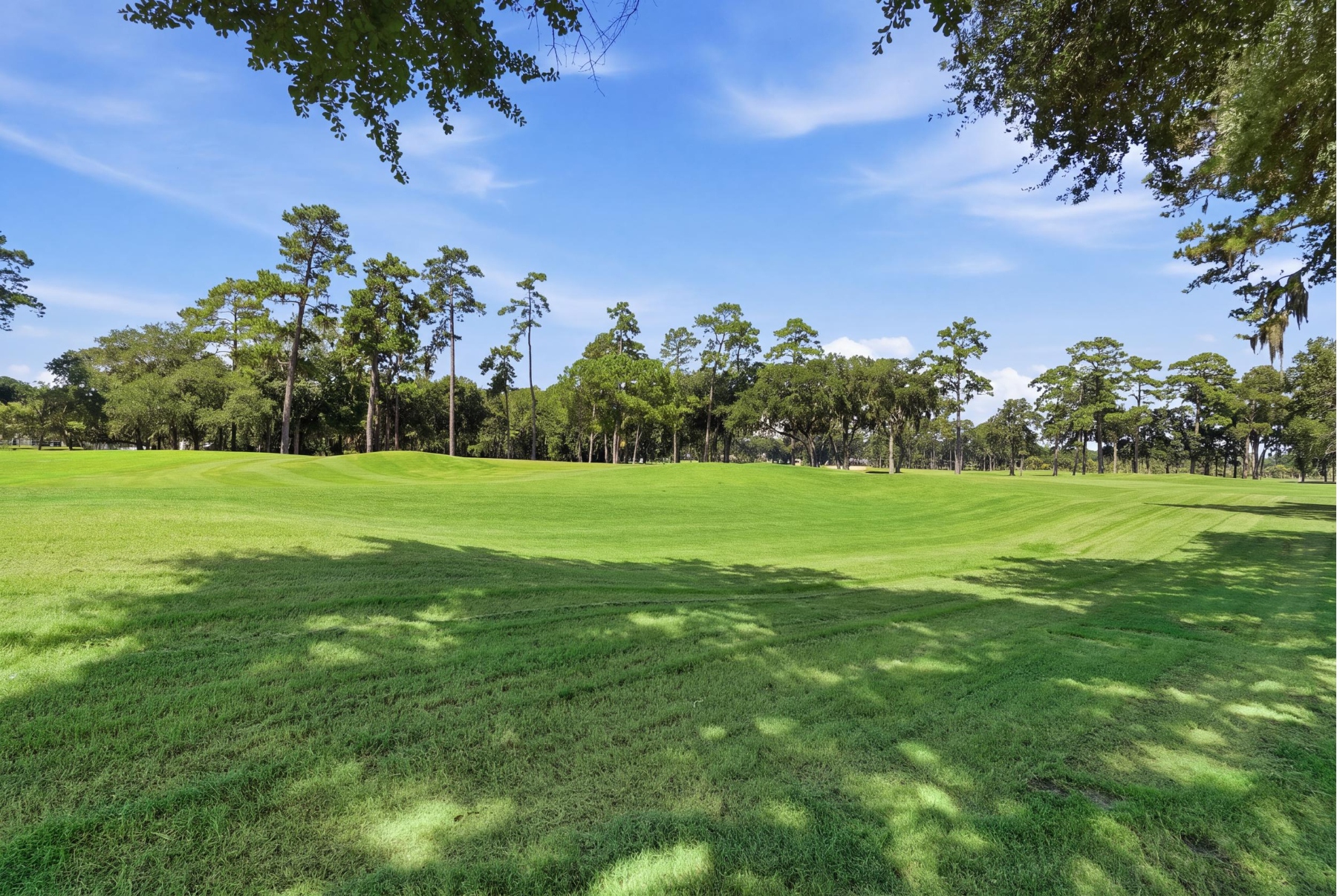  6 Sea Eagle Court, Savannah - 物件實景