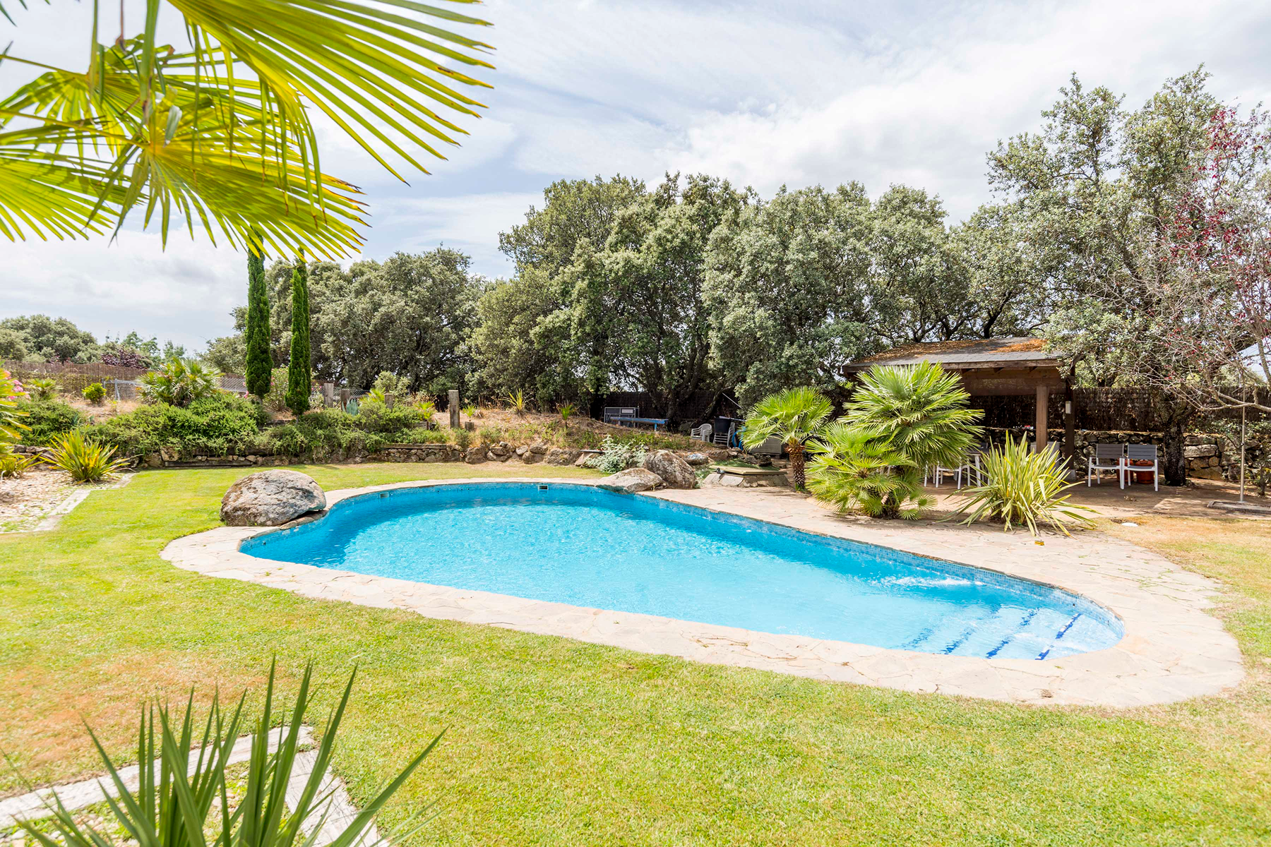  Magnificent colonial-style villa in Los Ranchos (Galapagar) - 物件實景