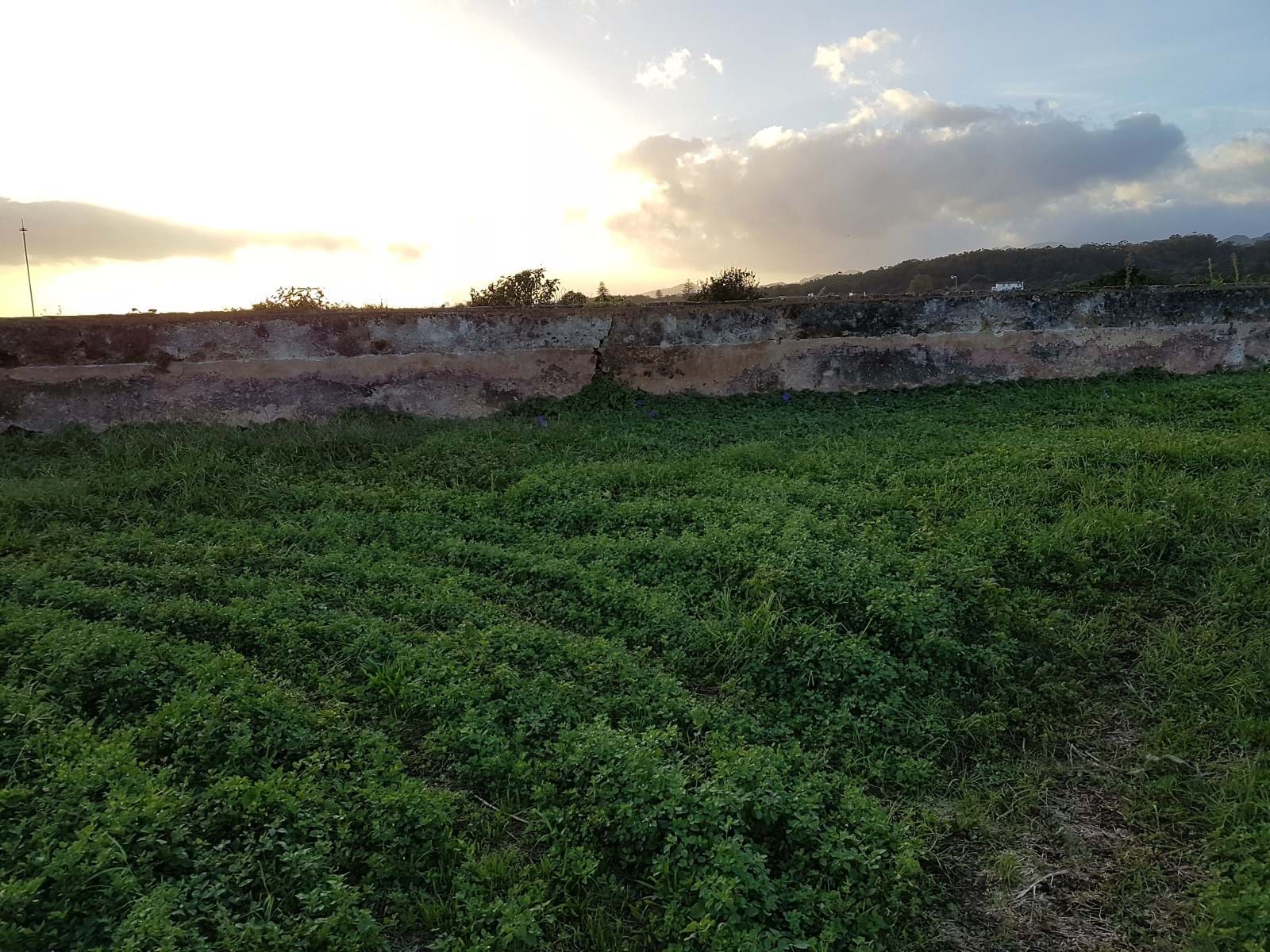 Lagoa (Açores), Ilha de São Miguel, 9560, PT, ,Land,For Sale,1699635