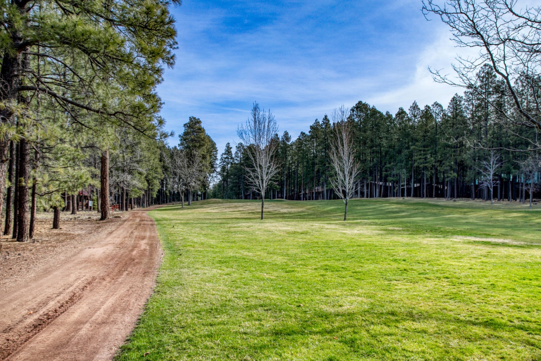  7139 Buck Springs Road  Pinetop, AZ - 物件實景