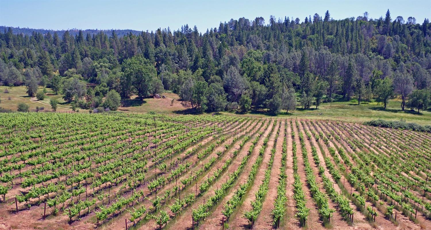 2145 Hidden Ranch Road, Somerset, California, 95684, United States, 3 Bedrooms Bedrooms, ,4 BathroomsBathrooms,Residential,For Sale,2145 Hidden Ranch Road,1048969