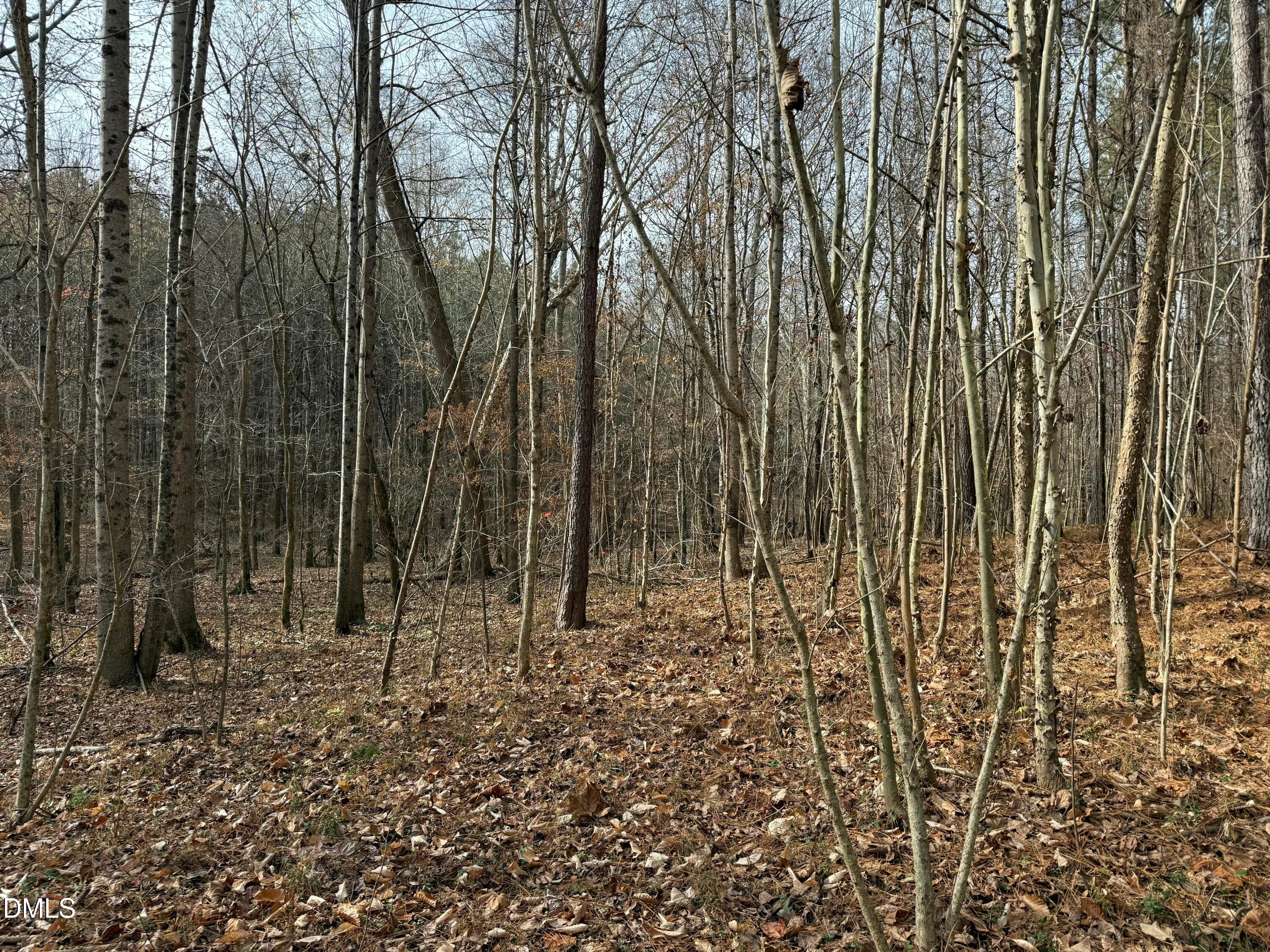 Oxford, North Carolina, 27565, United States, ,Land,For Sale,2000467