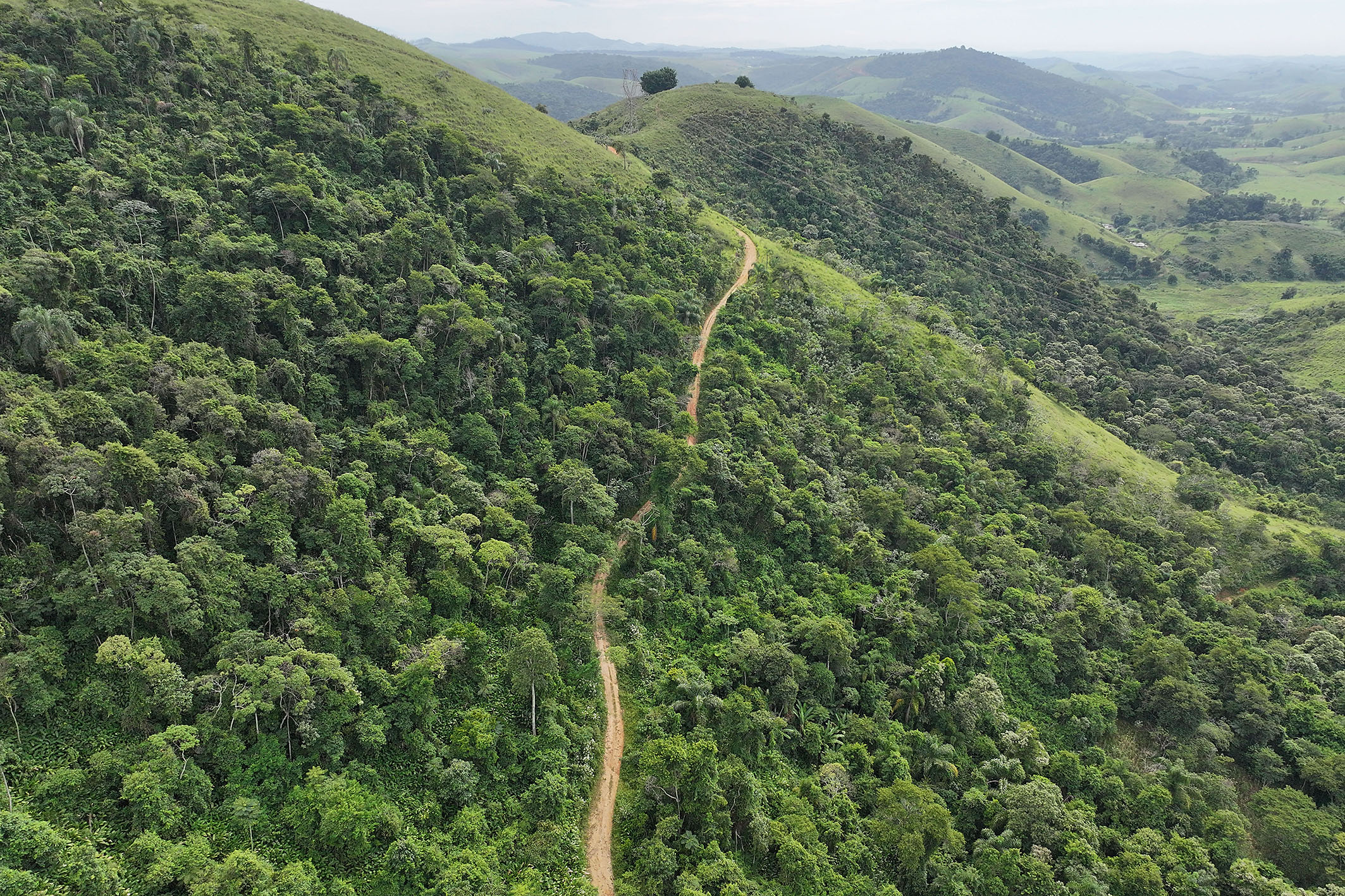  Historic estate with native forest, waterfalls, and ecotourism potential - 物件實景