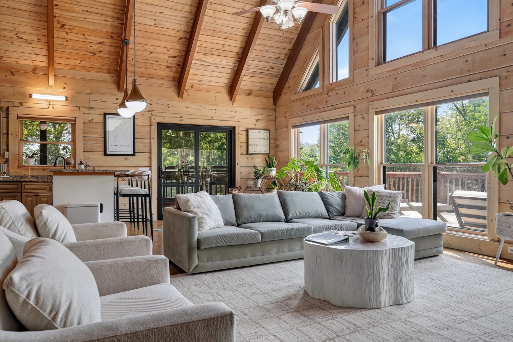  150 Dakota Ln, Smithville, TN, 37166 - 物件實景