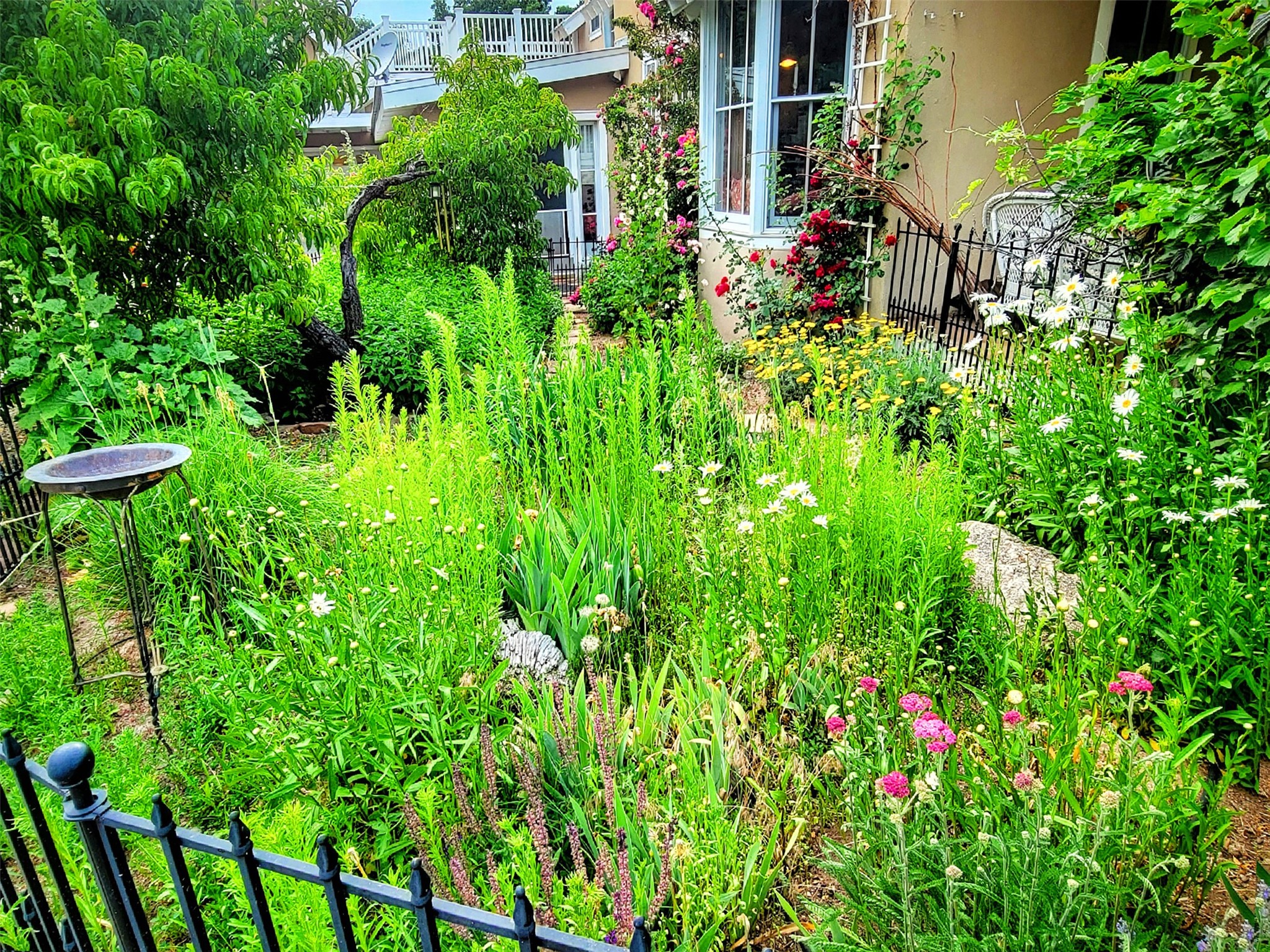  7 Camino De Pastores #A & #B - 物件實景