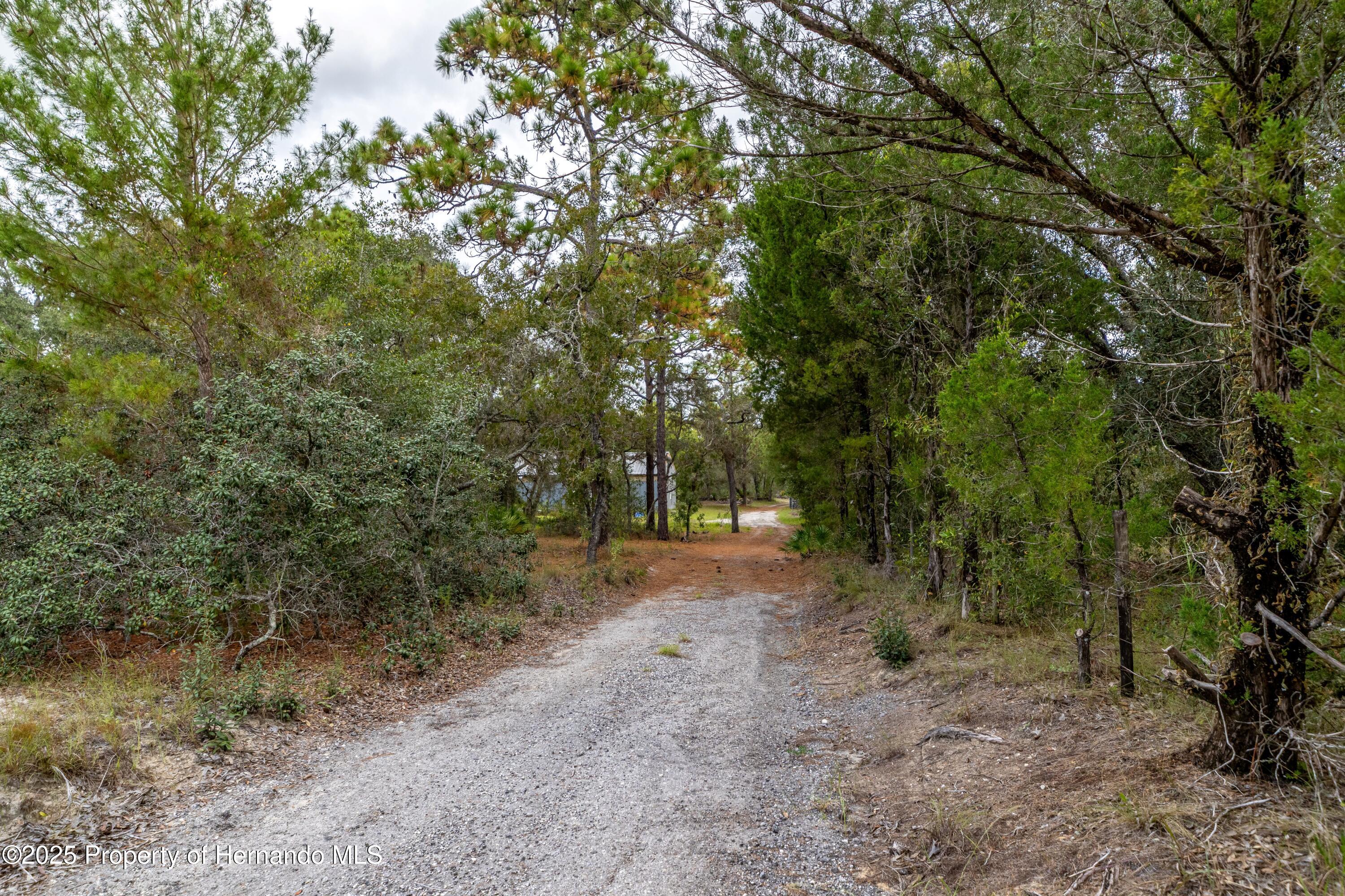 Brooksville, Florida, 34613, United States, 4 Bedrooms Bedrooms, ,2 BathroomsBathrooms,Residential,For Sale,1975088