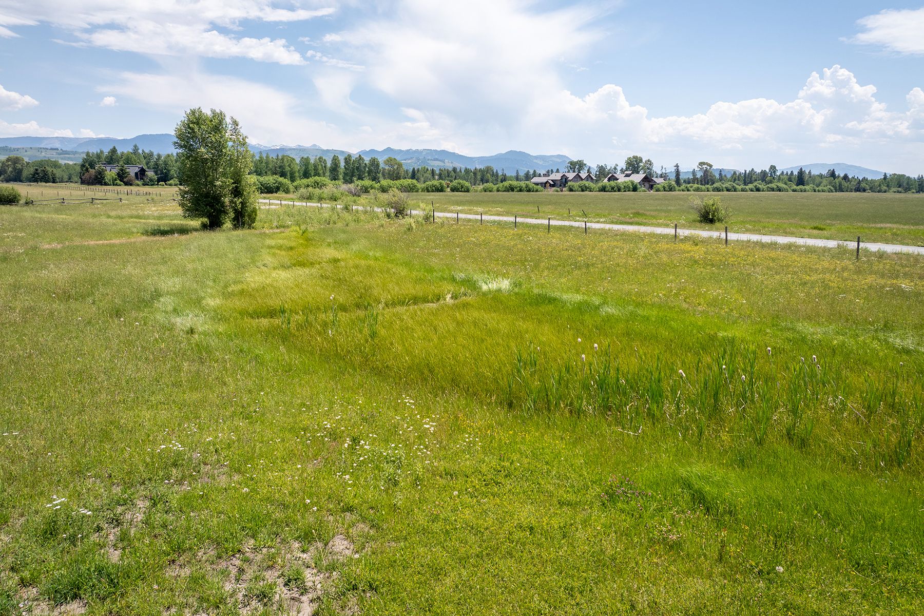  Lot 11  Triangle Q Ranch - 物件實景