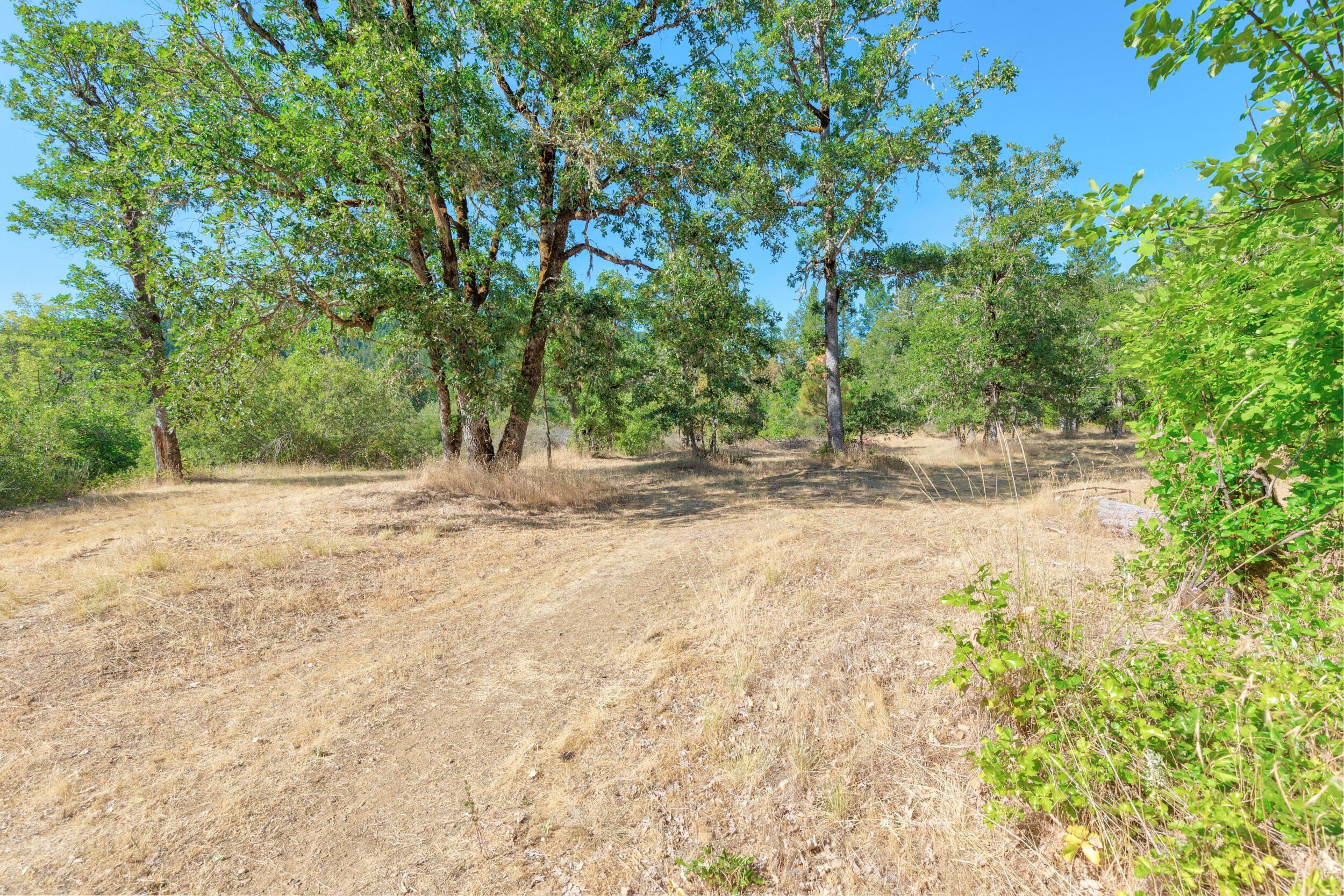 Selma, Oregon, 97538, United States, 3 Bedrooms Bedrooms, ,2 BathroomsBathrooms,Residential,For Sale,1980264