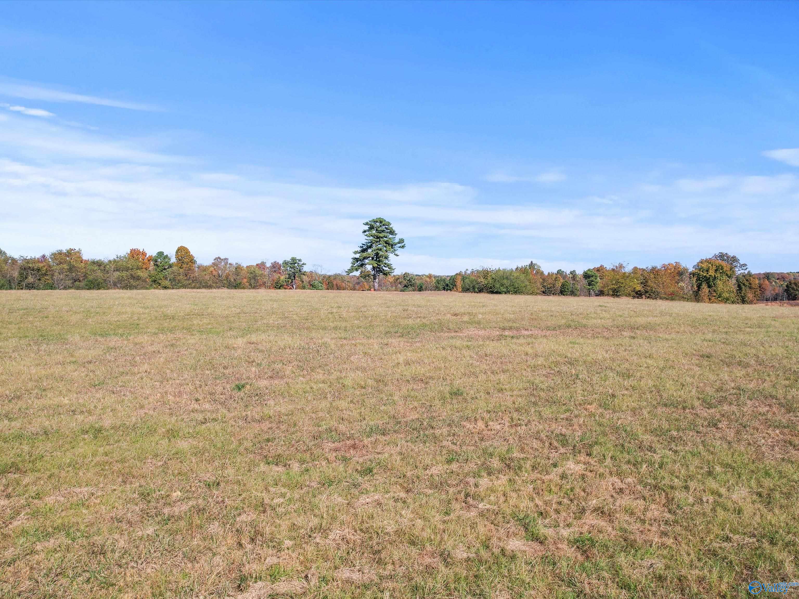 Ardmore, Alabama, 35739, United States, ,Land,For Sale,1988629