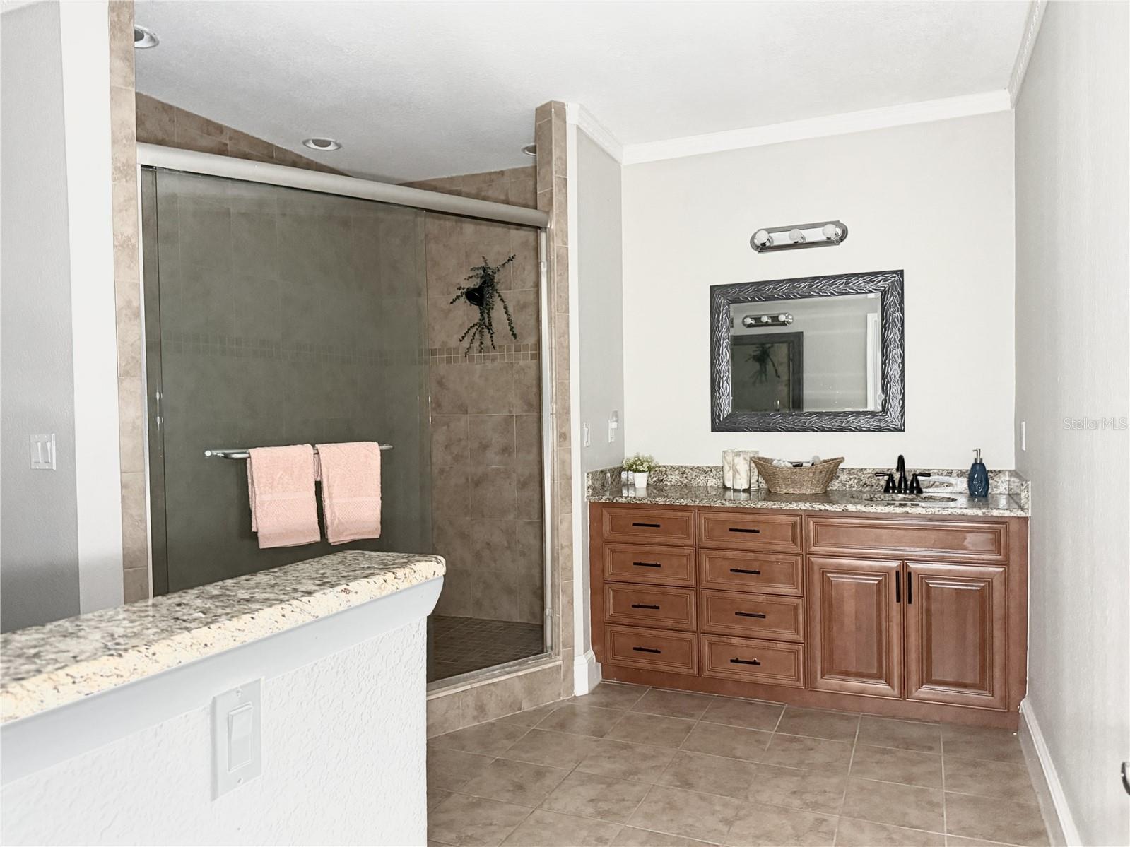 Temple Terrace, Florida, 33637, United States, 3 Bedrooms Bedrooms, ,4 BathroomsBathrooms,Residential,For Sale,1982268