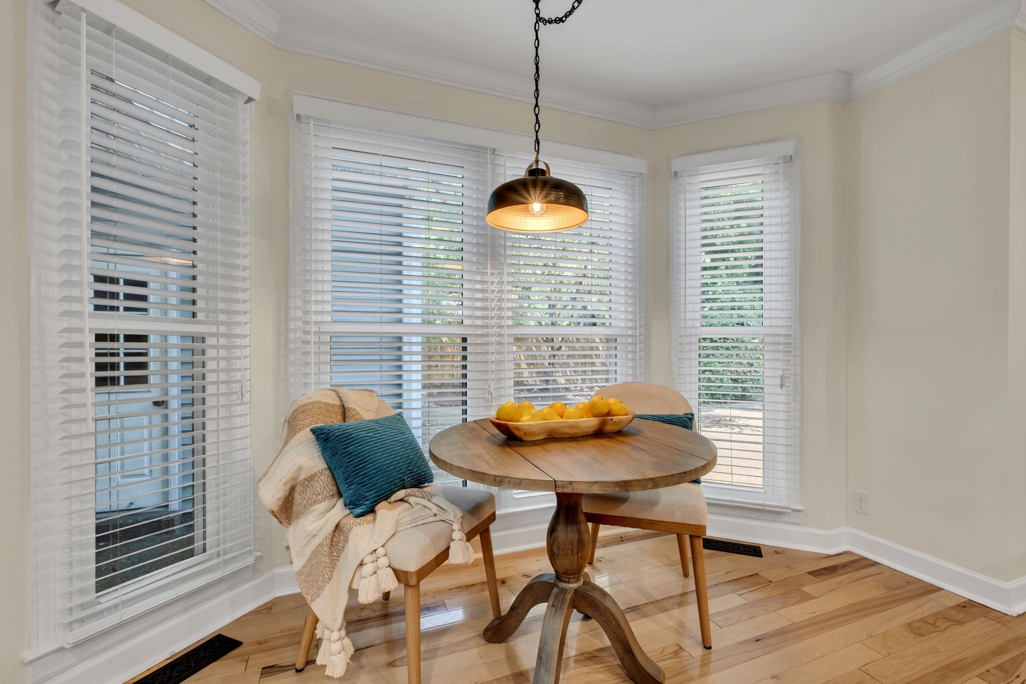  221 Adams Ct, Franklin, TN, 37064 - 物件實景