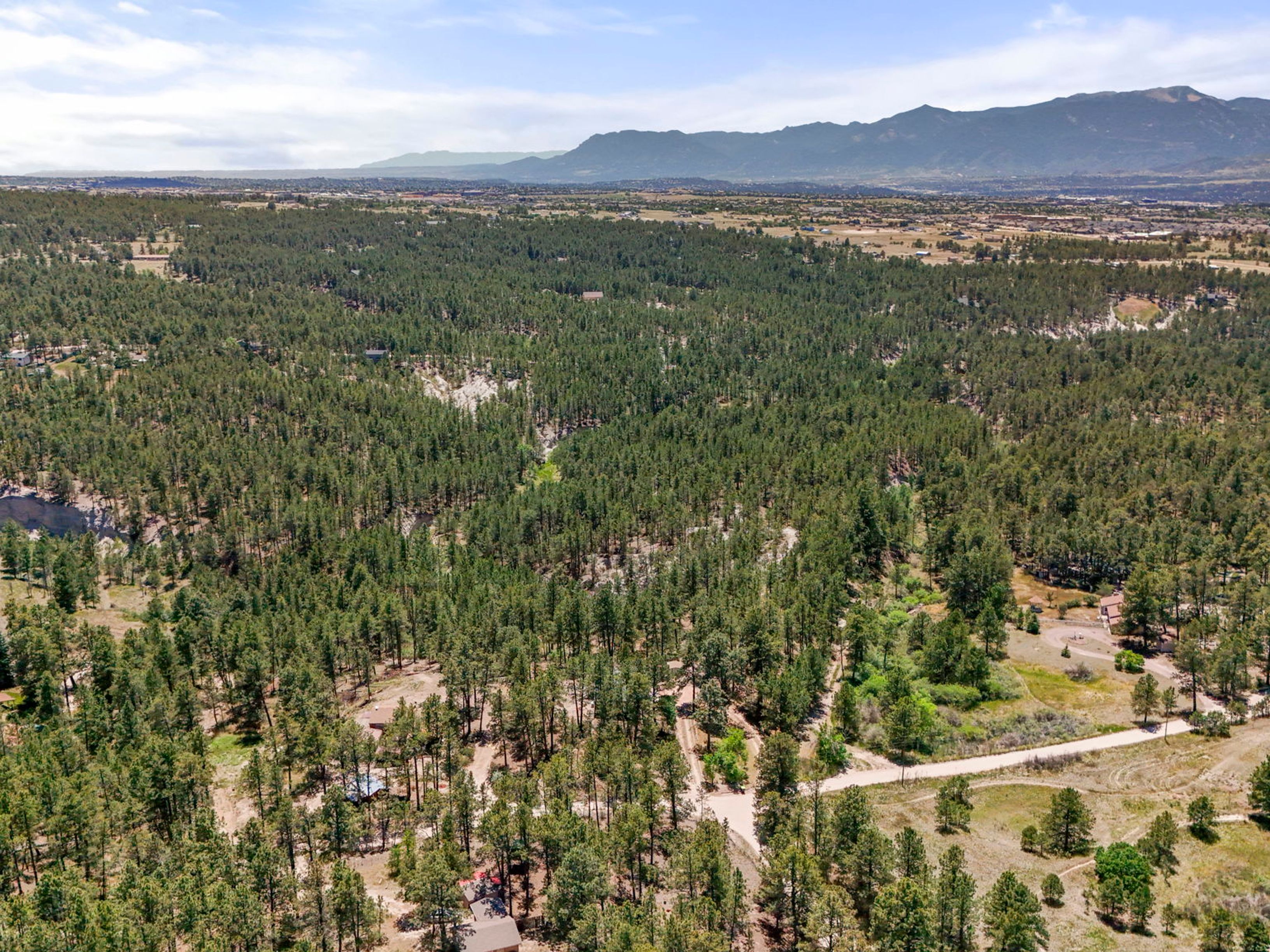  Extremely desirable southwest Black Forest location on stunning 5 wooded acres - 物件實景