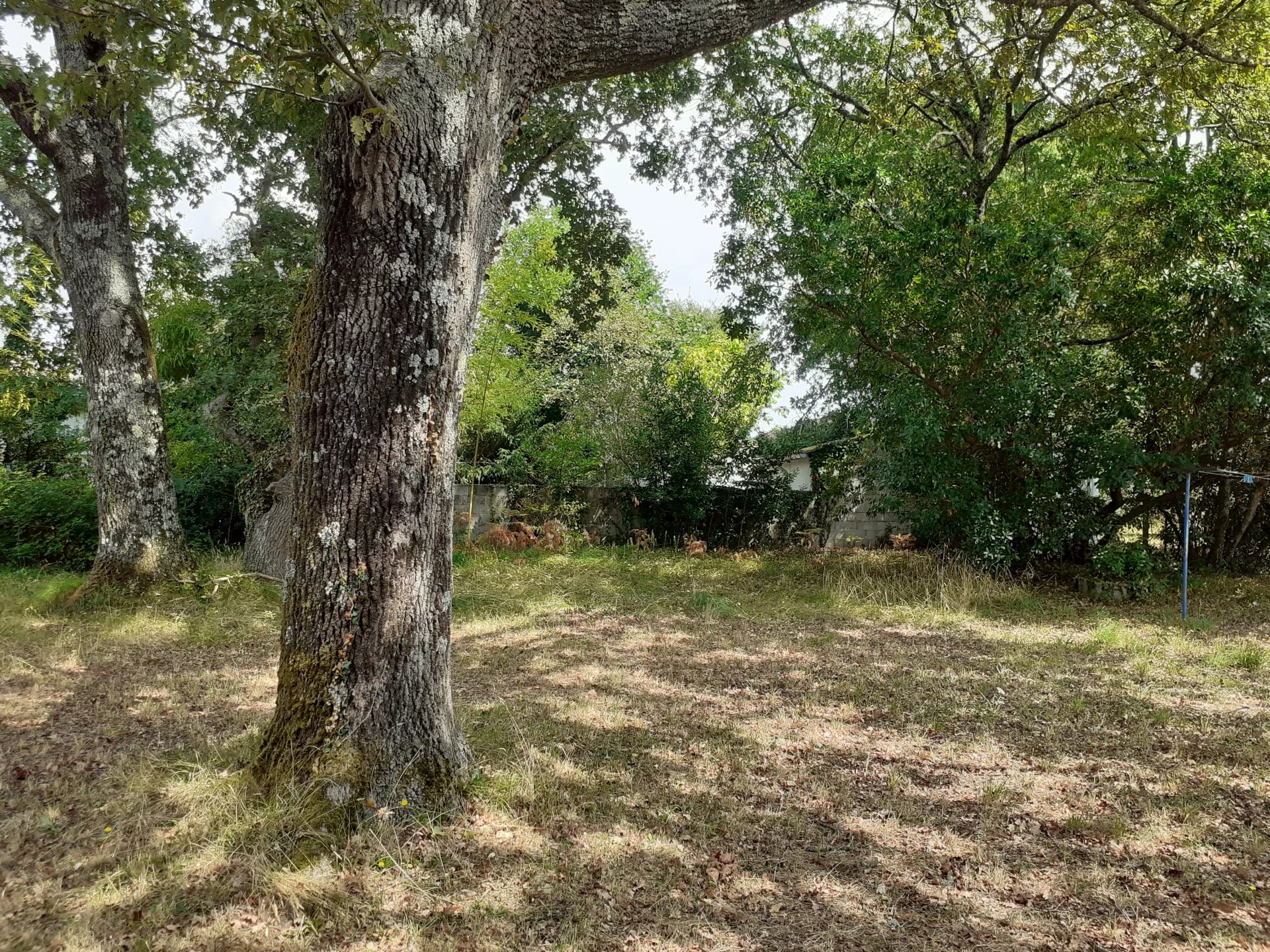 Andernos-les-Bains, New Aquitaine, 33510, FR, ,Land,For Sale,1817867