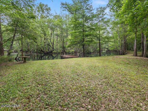Vernon, Florida, 32462, United States, ,Residential,For Sale,1795705