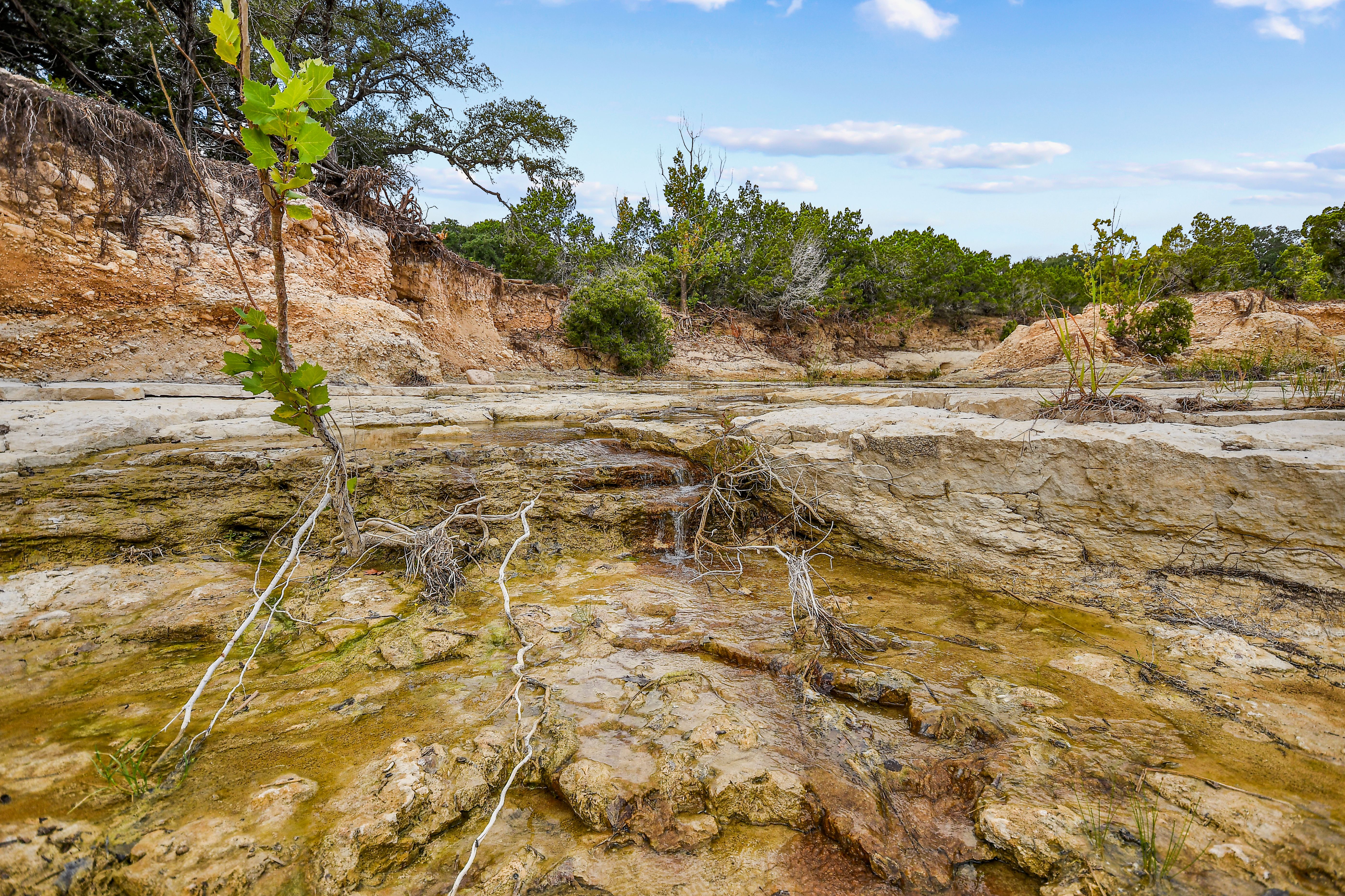  TBD Hwy 46 / Madrona Ranch Road, Pipe Creek, TX 78063 - 物件實景