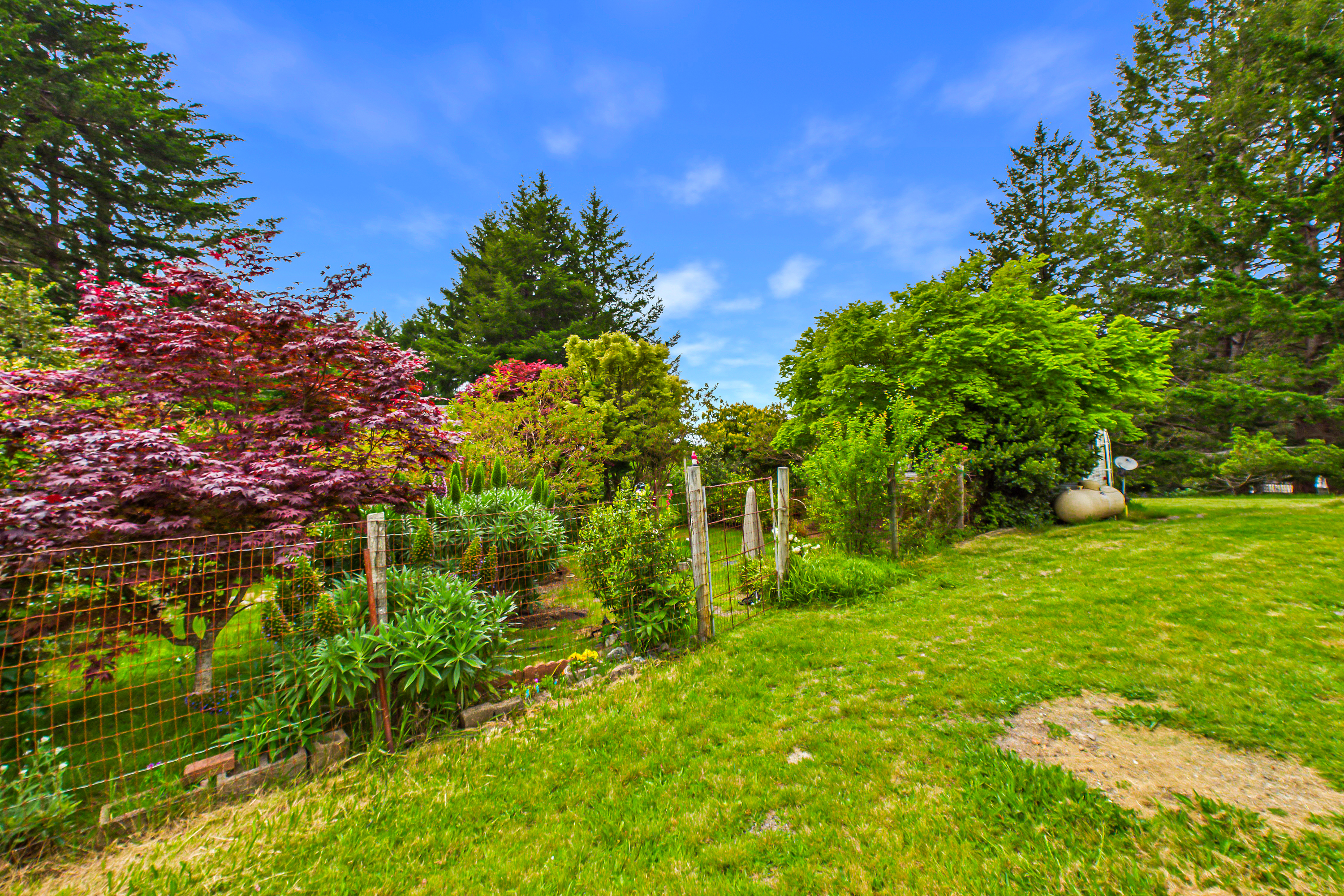  A Rare Ocean and Forest View Sanctuary with Three Adjoining Lots - 物件實景