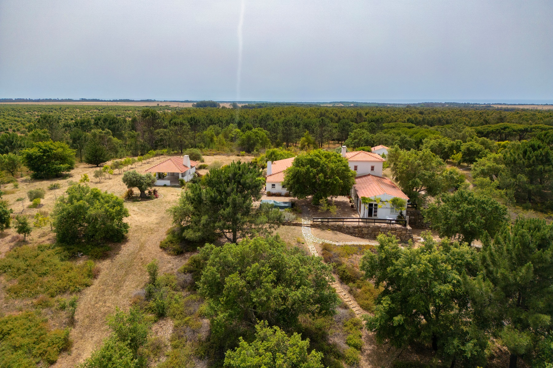  Farm, 7 bedrooms, for Sale - 物件實景