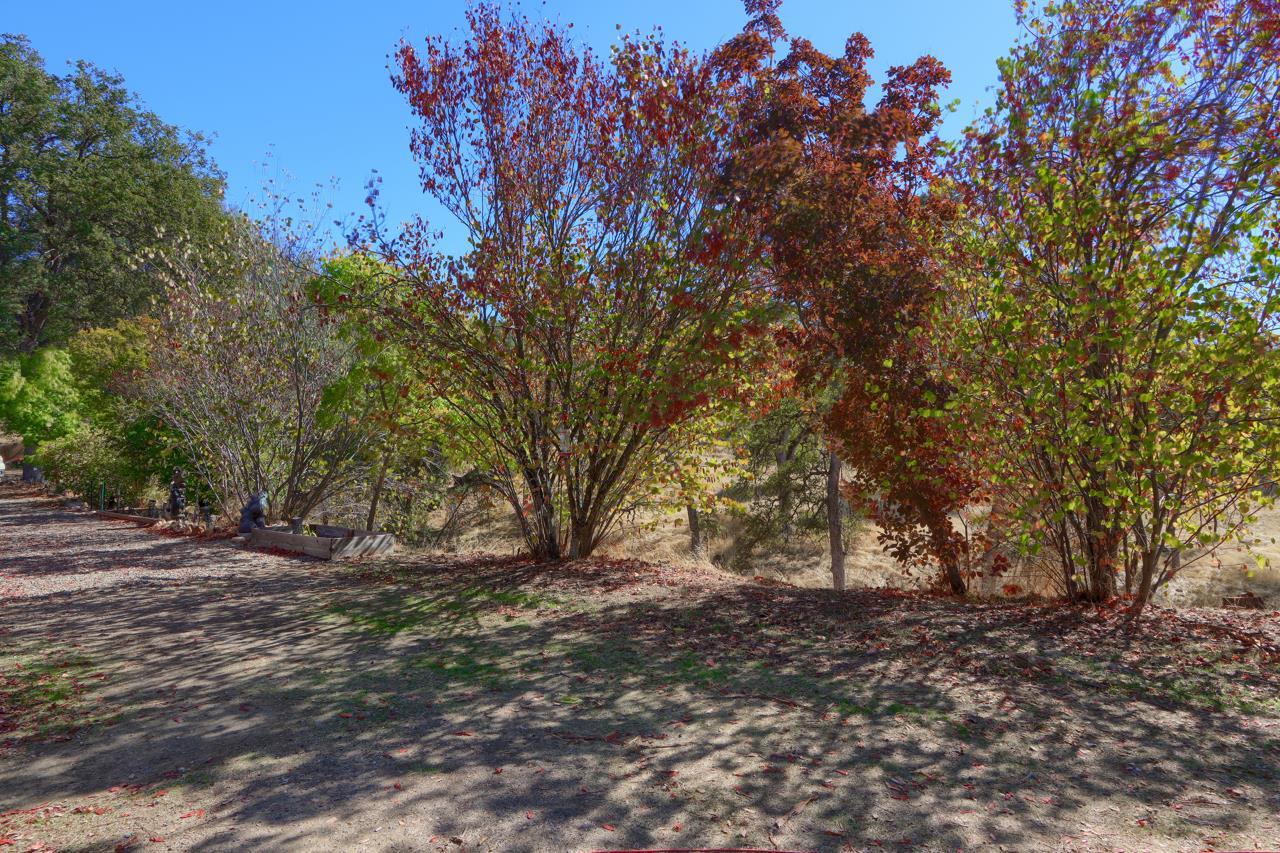 Mariposa, California, 95338, United States, 3 Bedrooms Bedrooms, ,2 BathroomsBathrooms,Residential,For Sale,1974178