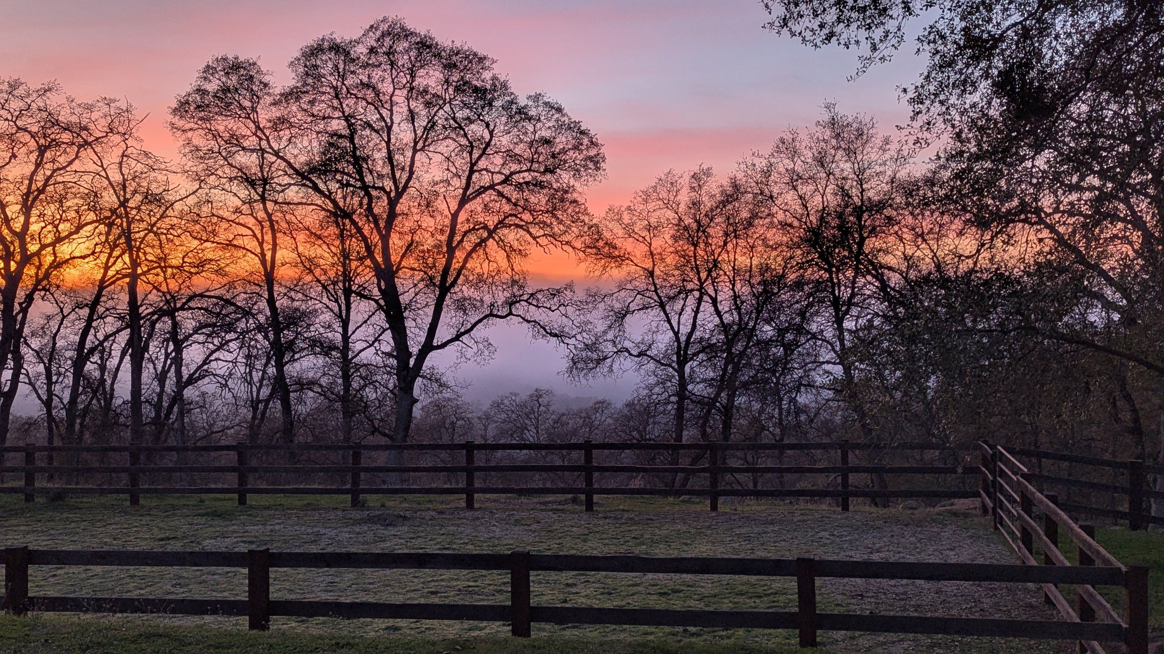  5301 Tioga Lane, El Dorado, CA 95623 - 物件實景