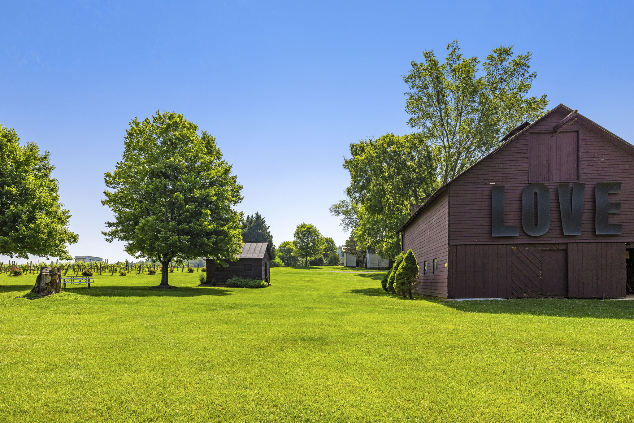  6190 Georgetown Road, Broad Run, VA, 20137 - 物件實景