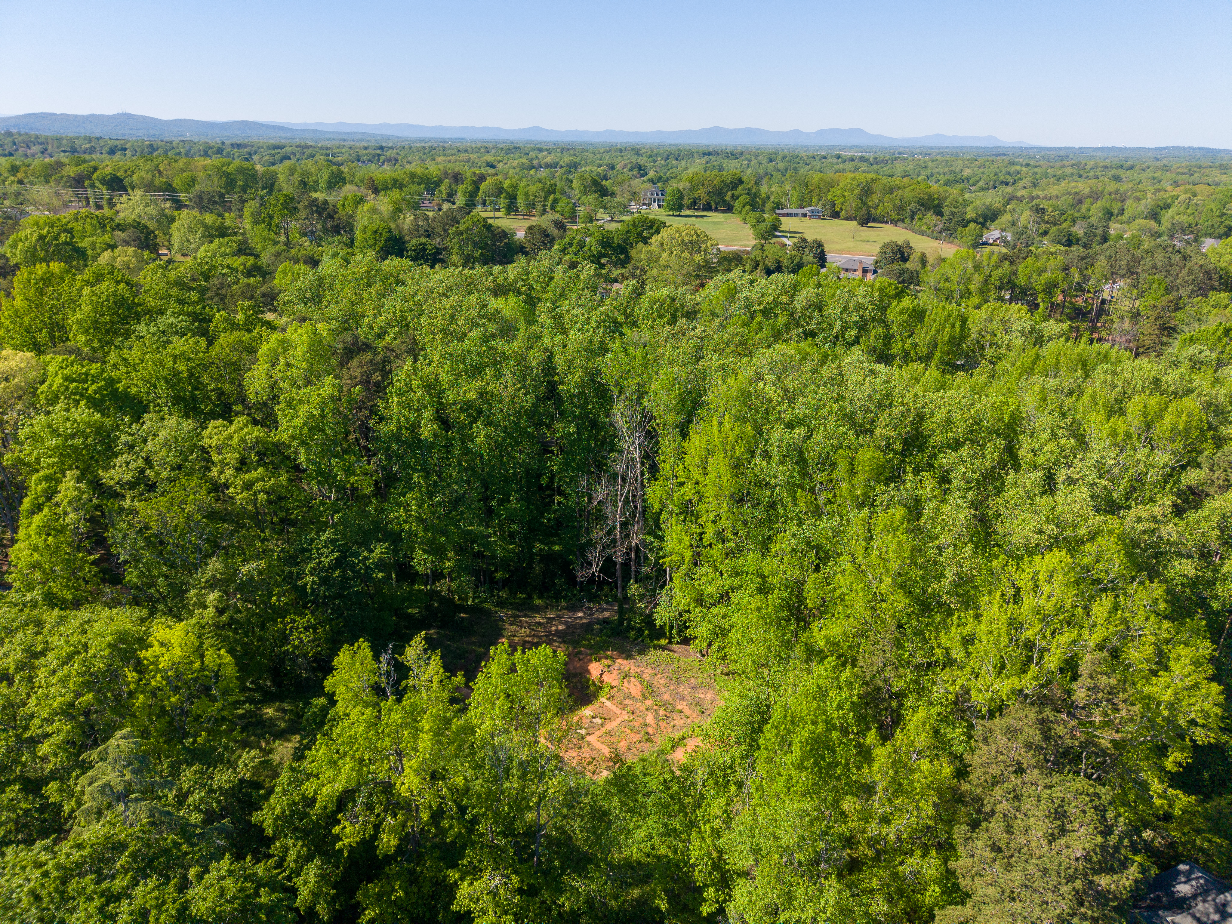  6 Stratton Place, Greenville, SC 29615 - 物件實景