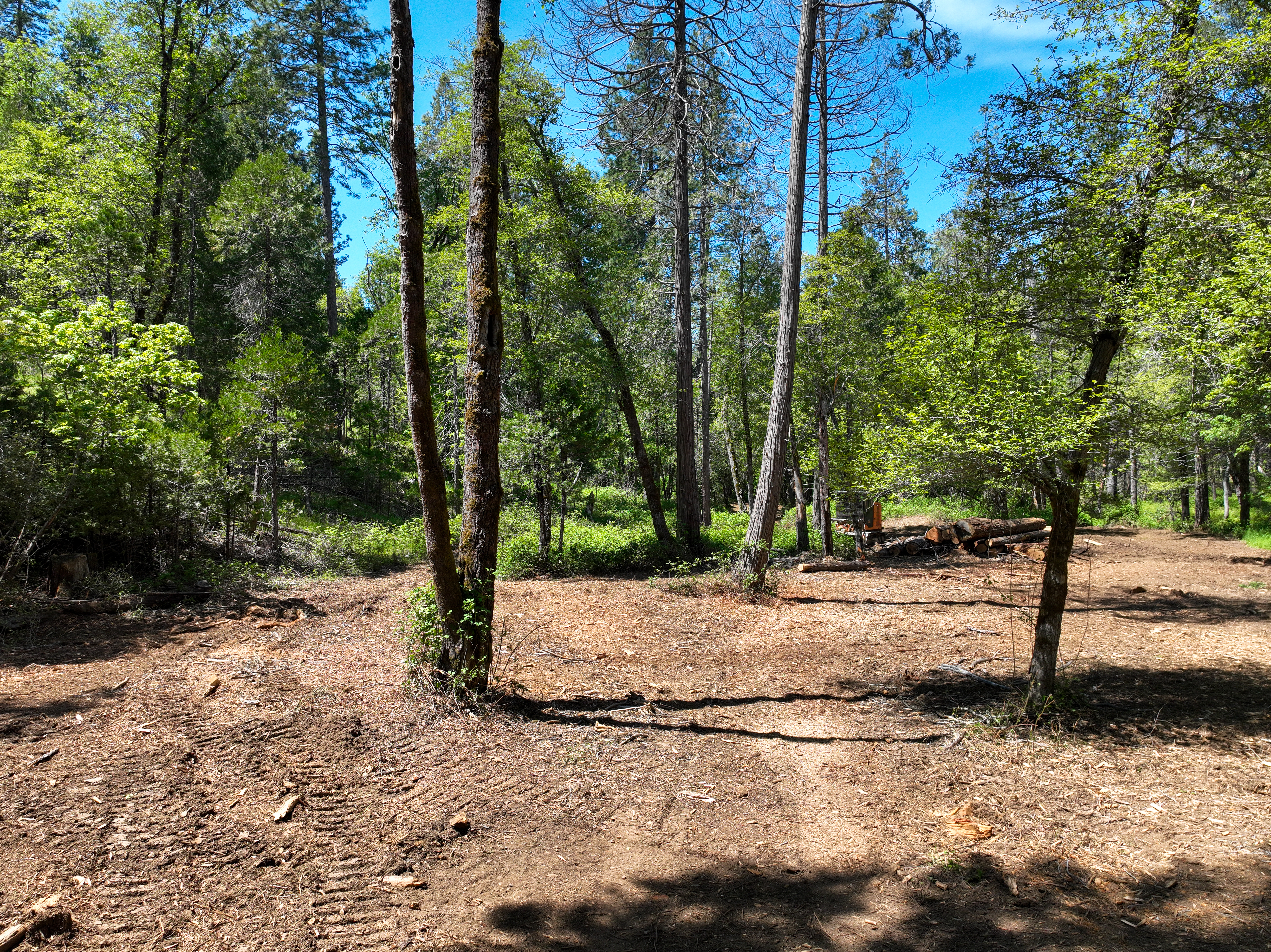  20493 Rector Road, Nevada City, CA 95959 - 物件實景