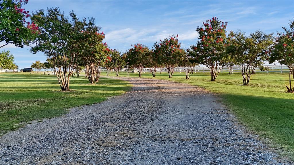 Gunter, Texas, 75058, United States, 4 Bedrooms Bedrooms, ,3 BathroomsBathrooms,Residential,For Sale,1926422