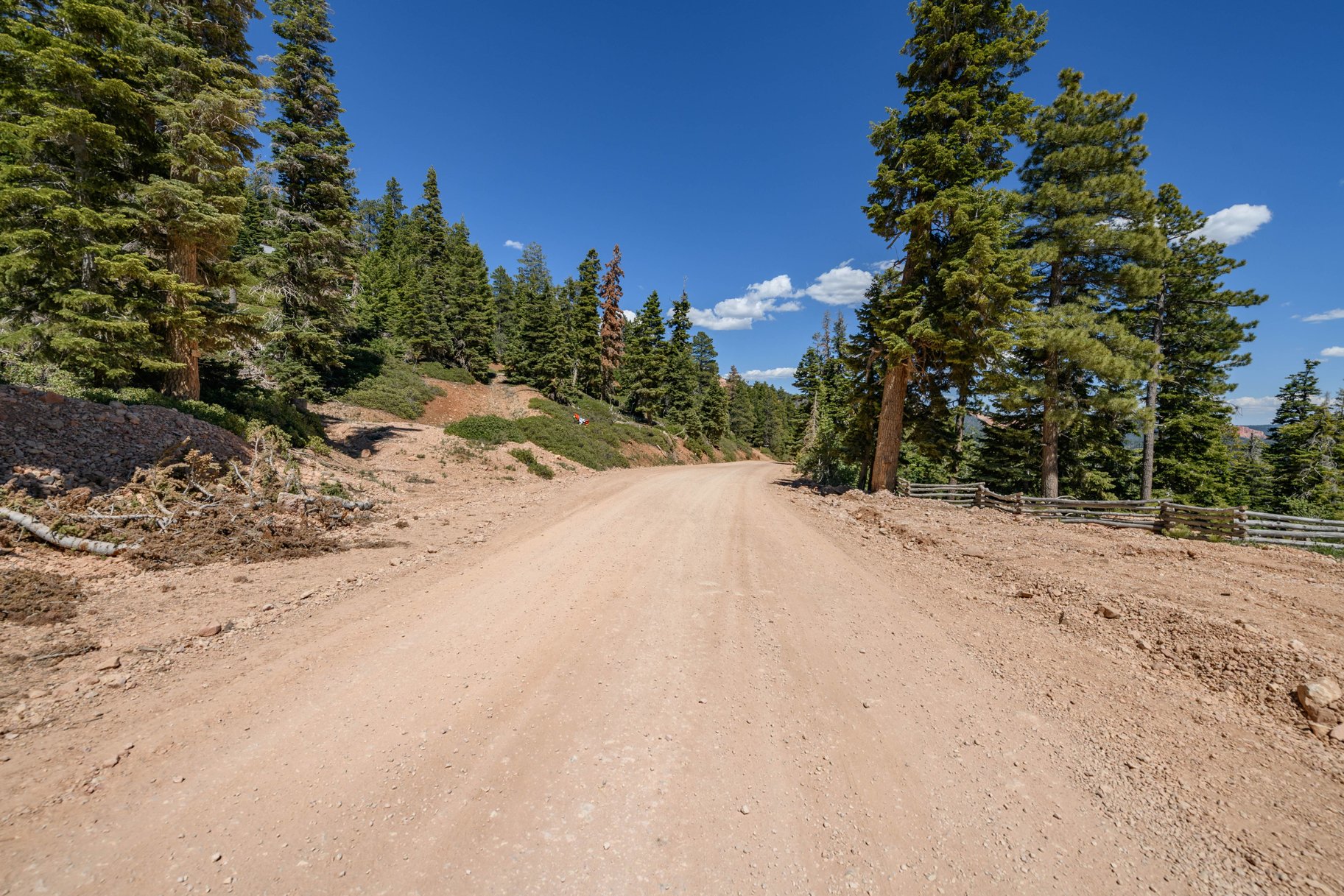  Quiet Mountain Retreat Near Navajo Lake - 物件實景