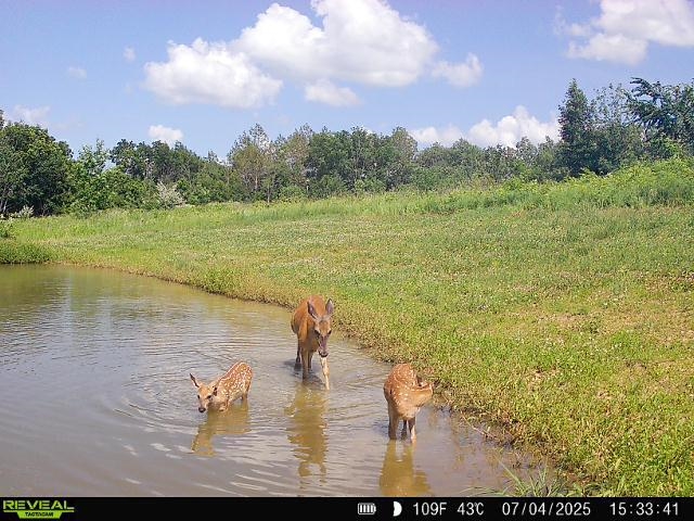 Gays Mills, Wisconsin, 54631, United States, ,Residential,For Sale,1928729