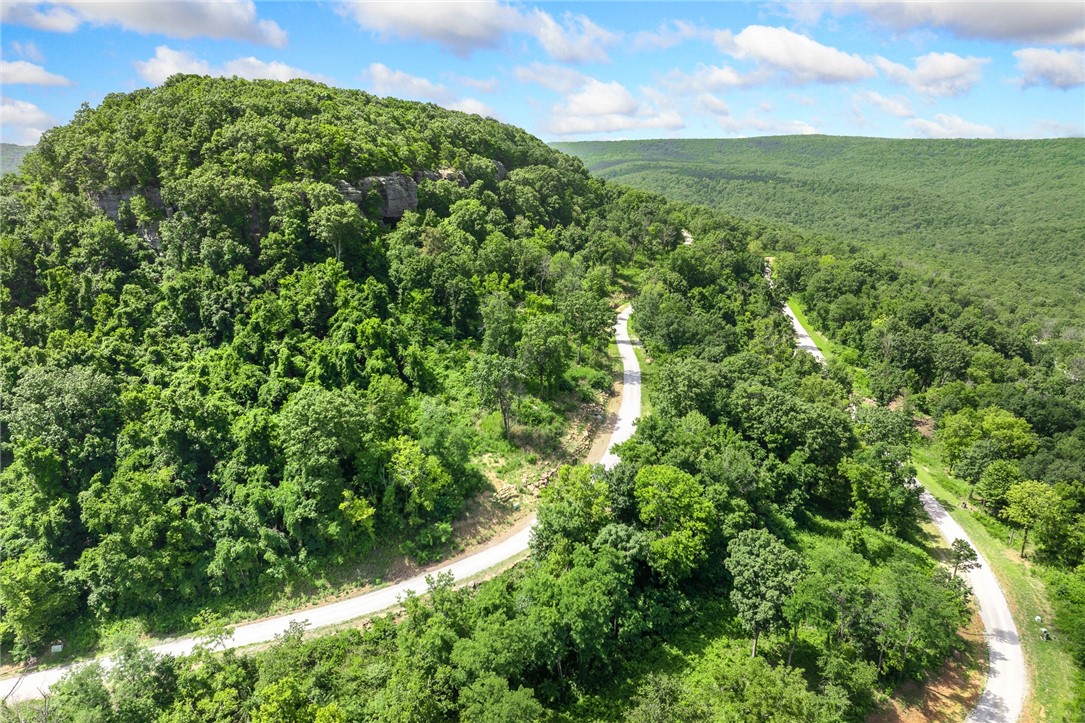 Harrison, Arkansas, 72601, United States, ,Land,For Sale,1903460