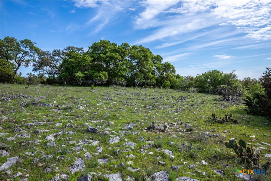 San Marcos, Texas, 78666, United States, ,Land,For Sale,1990898