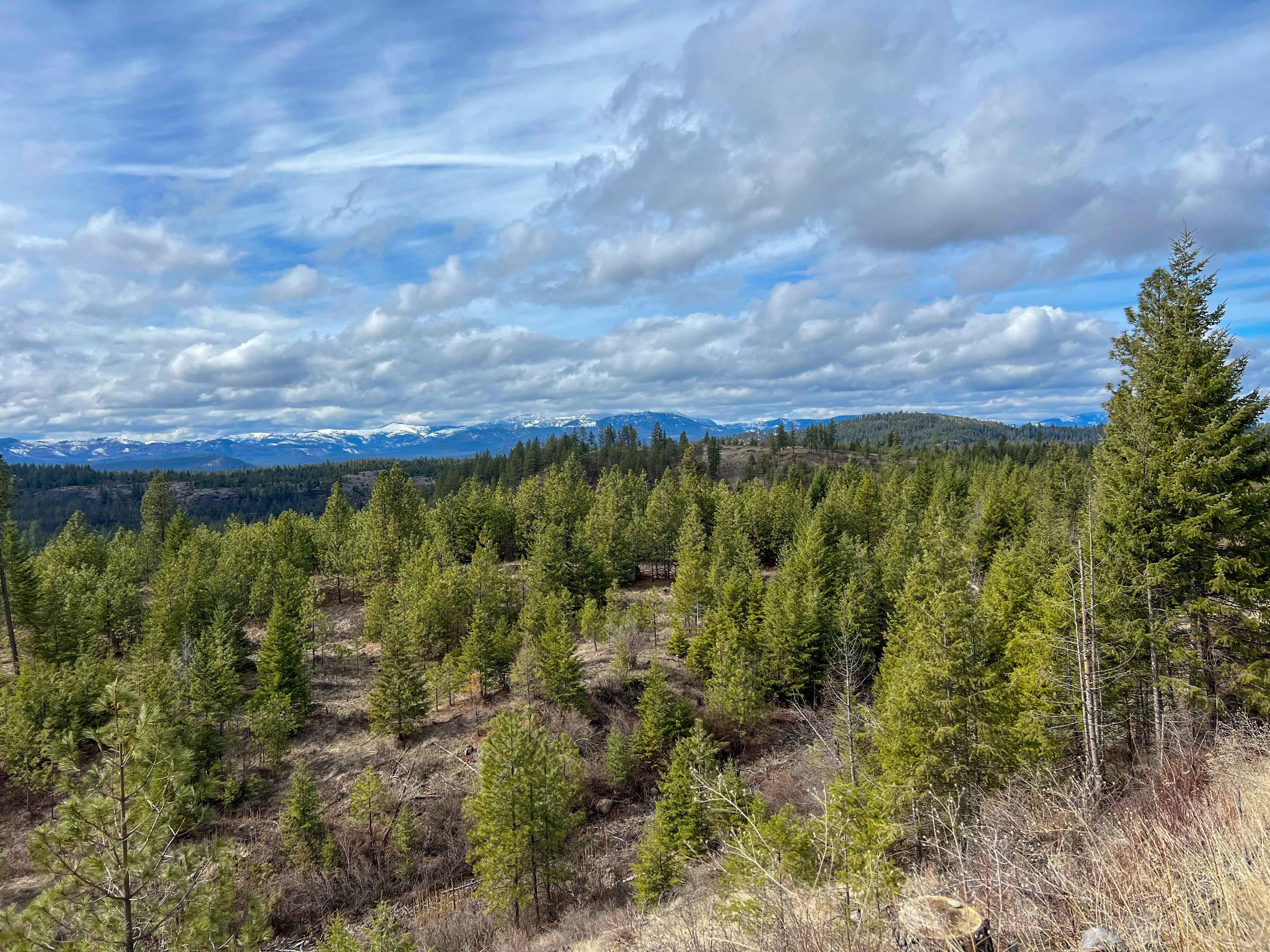 Valley, Washington, 99181, United States, ,Land,For Sale,1979391