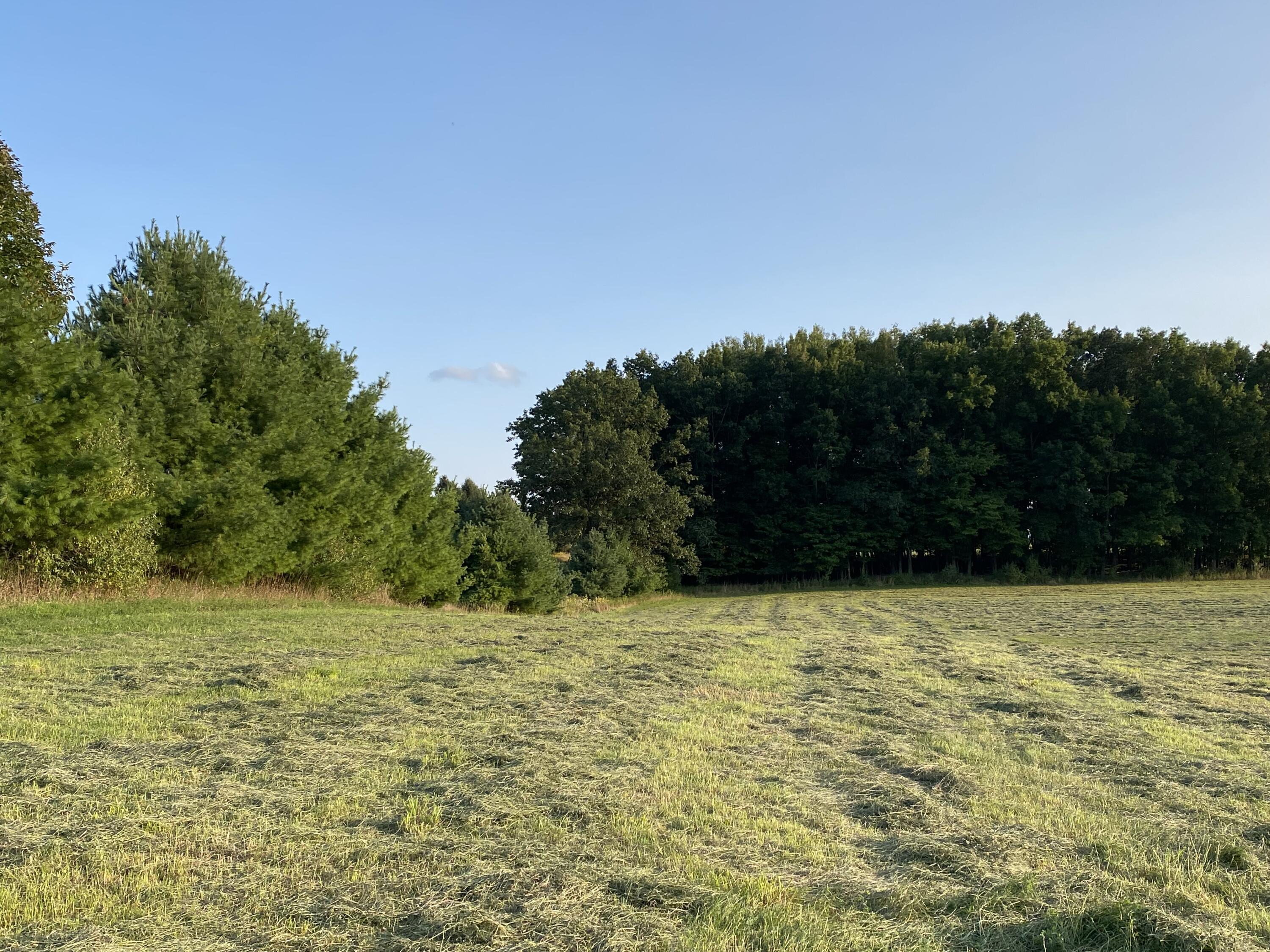 Lakeview, Michigan, 48850, United States, ,Land,For Sale,1942163