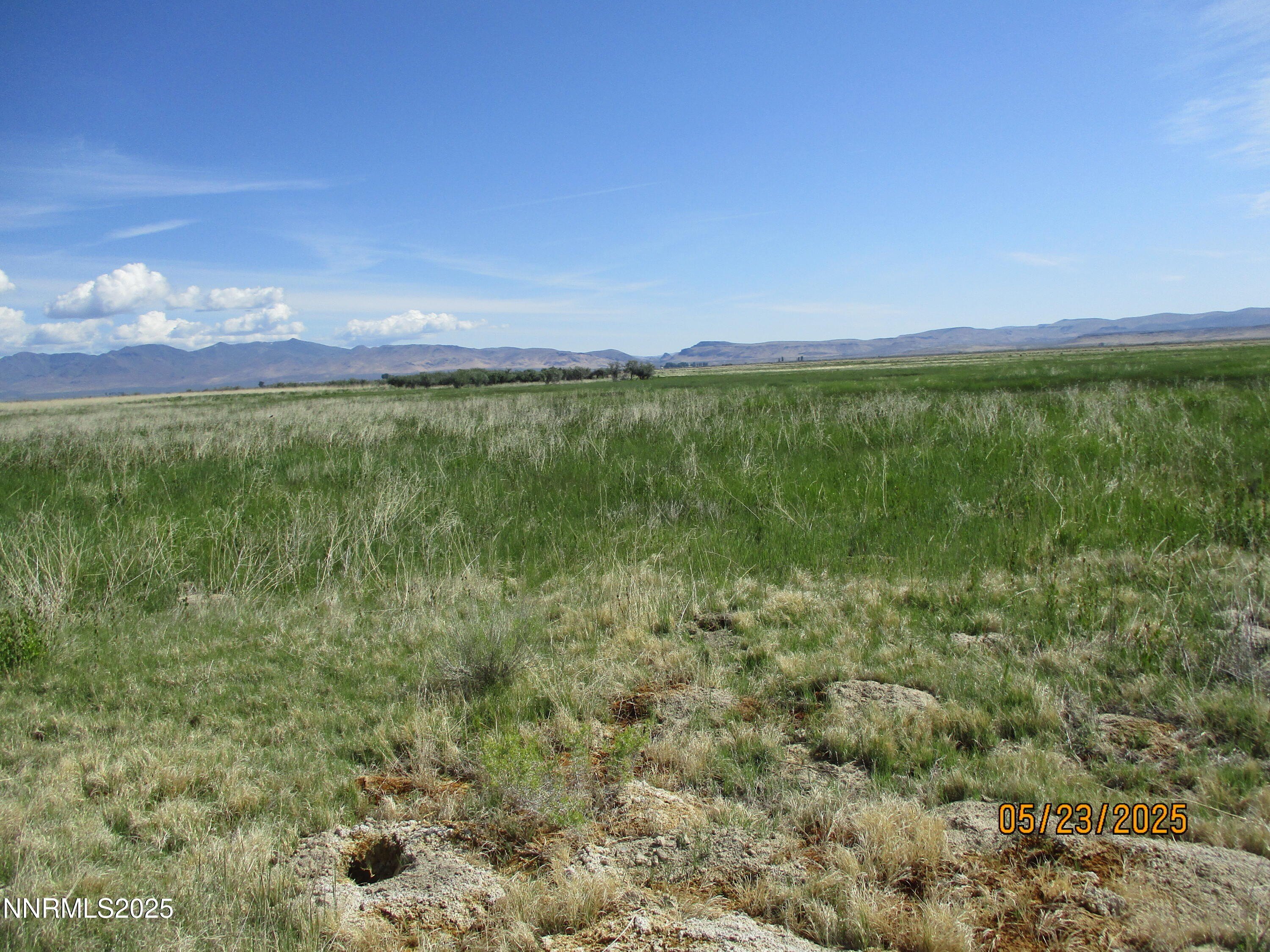 Paradise Valley, Nevada, 89426, United States, 3 Bedrooms Bedrooms, ,2 BathroomsBathrooms,Residential,For Sale,1975303