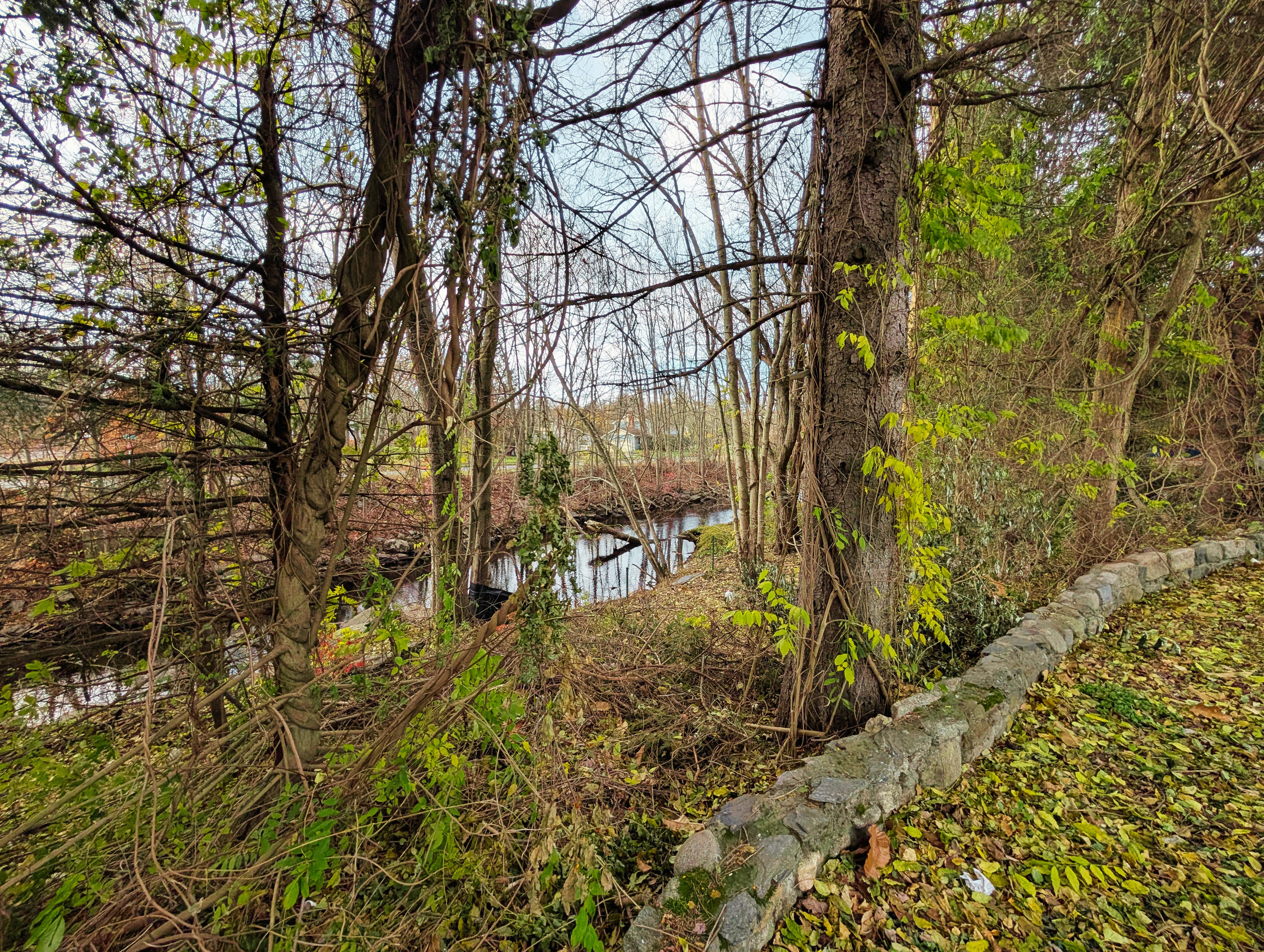 Shelton, Connecticut, 06484, United States, 3 Bedrooms Bedrooms, ,2 BathroomsBathrooms,Residential,For Sale,1996046