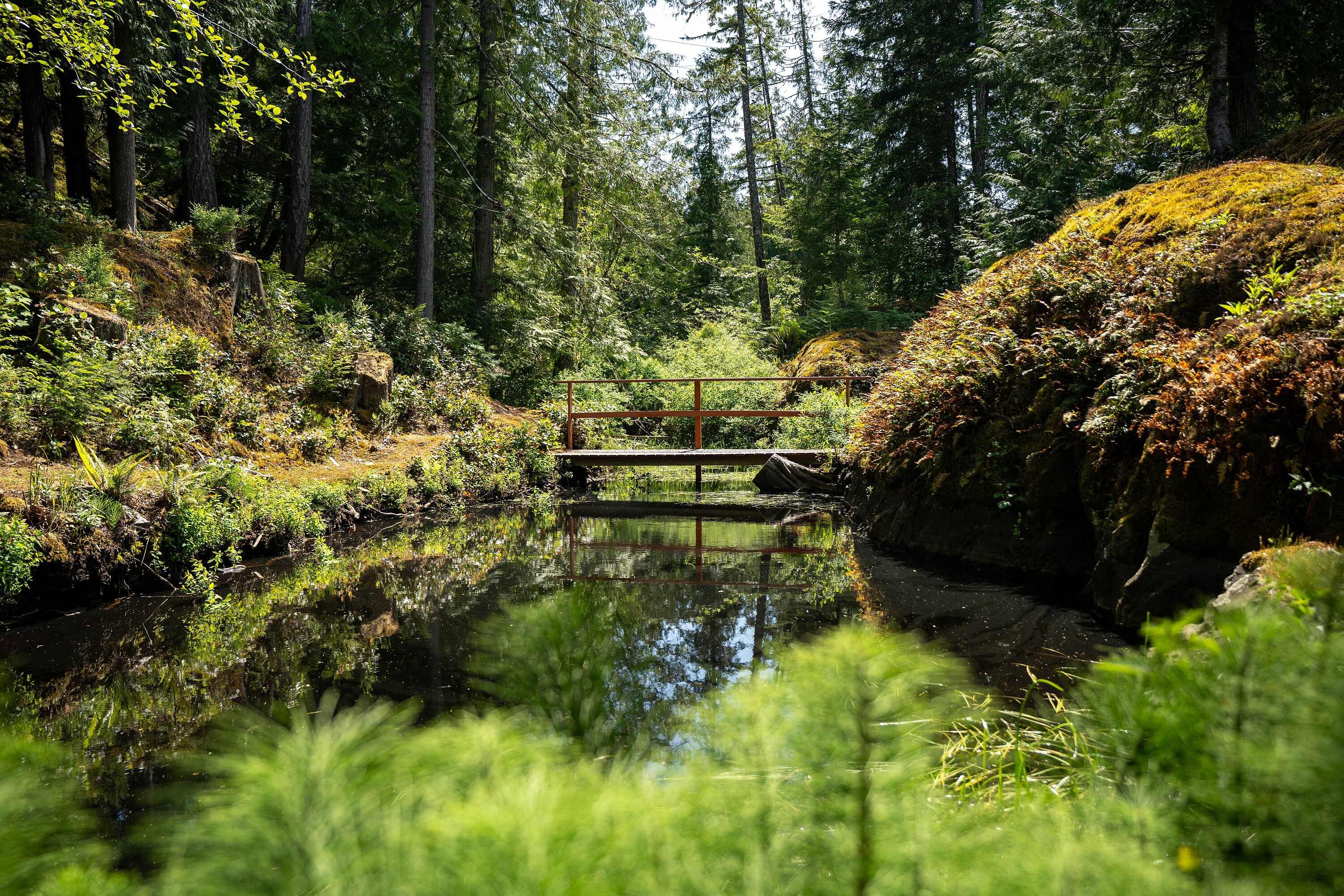  Discover A Private Oasis - 物件實景