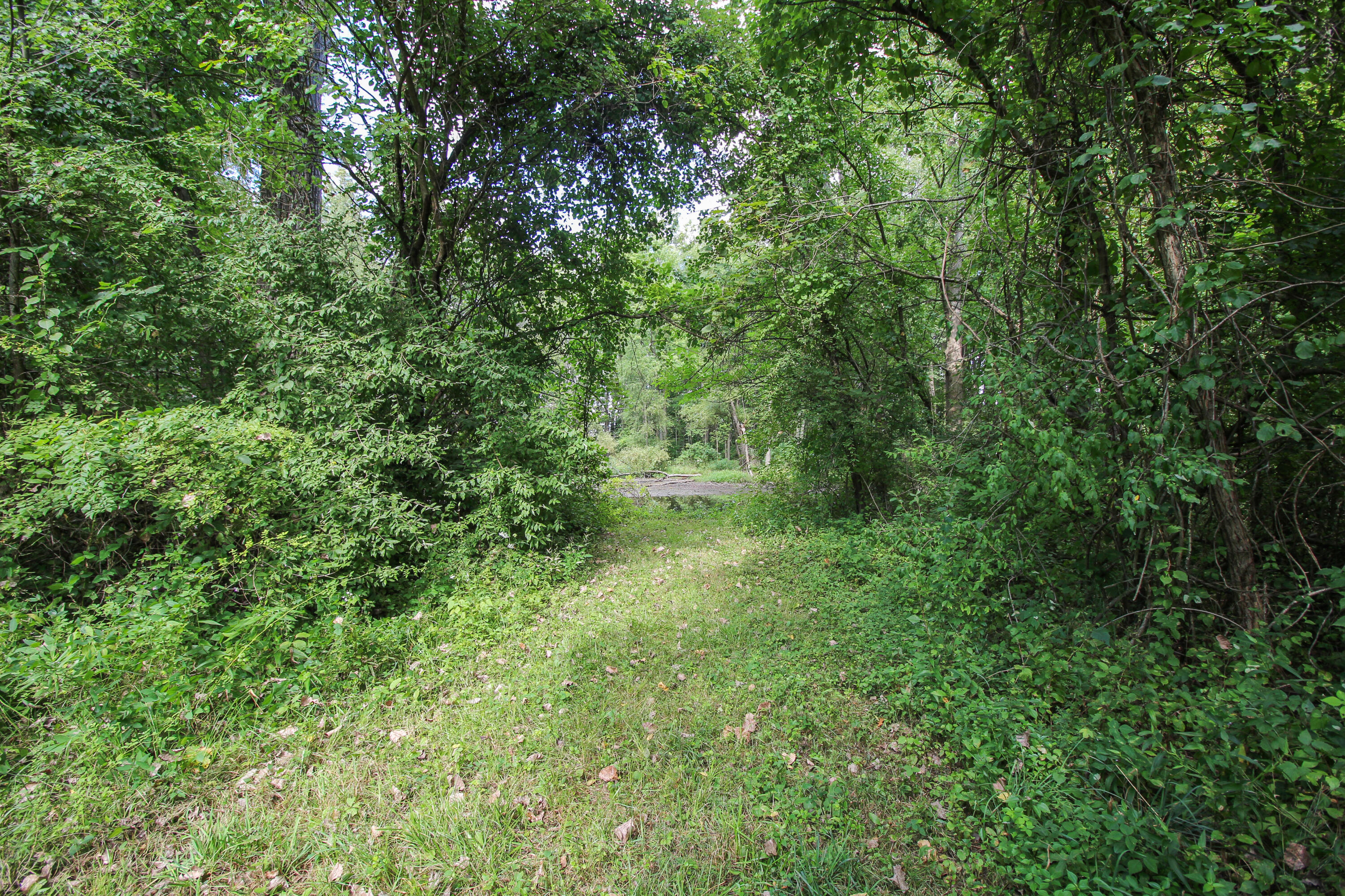 Three Rivers, Michigan, 49093, United States, 4 Bedrooms Bedrooms, ,1 BathroomBathrooms,Residential,For Sale,2006073