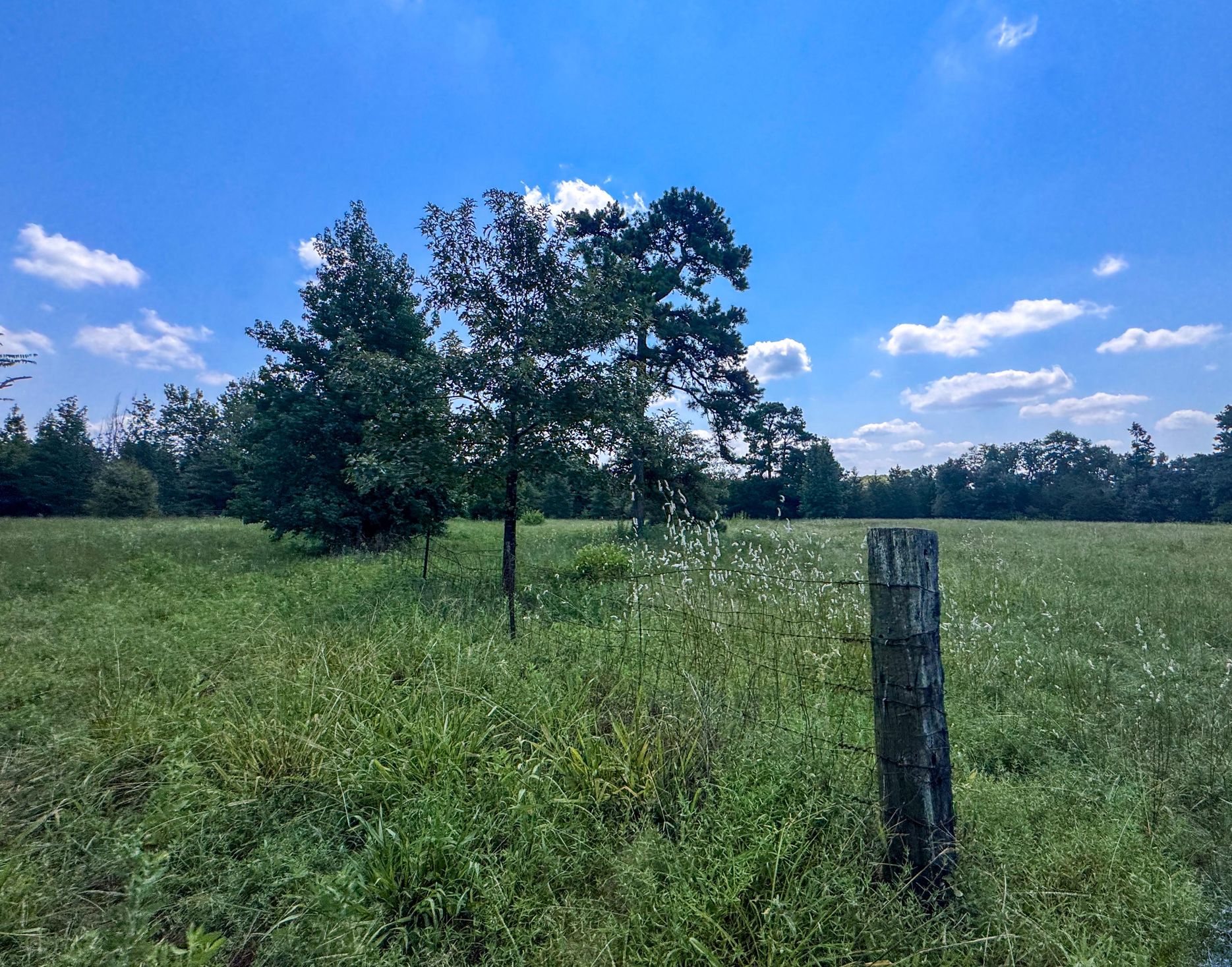 Douglassville, Texas, 75560, United States, 4 Bedrooms Bedrooms, ,3 BathroomsBathrooms,Residential,For Sale,1914297