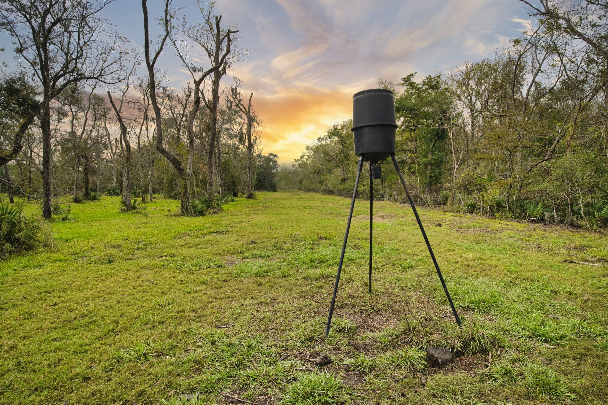 Brazoria, Texas, 77422, United States, 6 Bedrooms Bedrooms, ,6 BathroomsBathrooms,Residential,For Sale,1978625