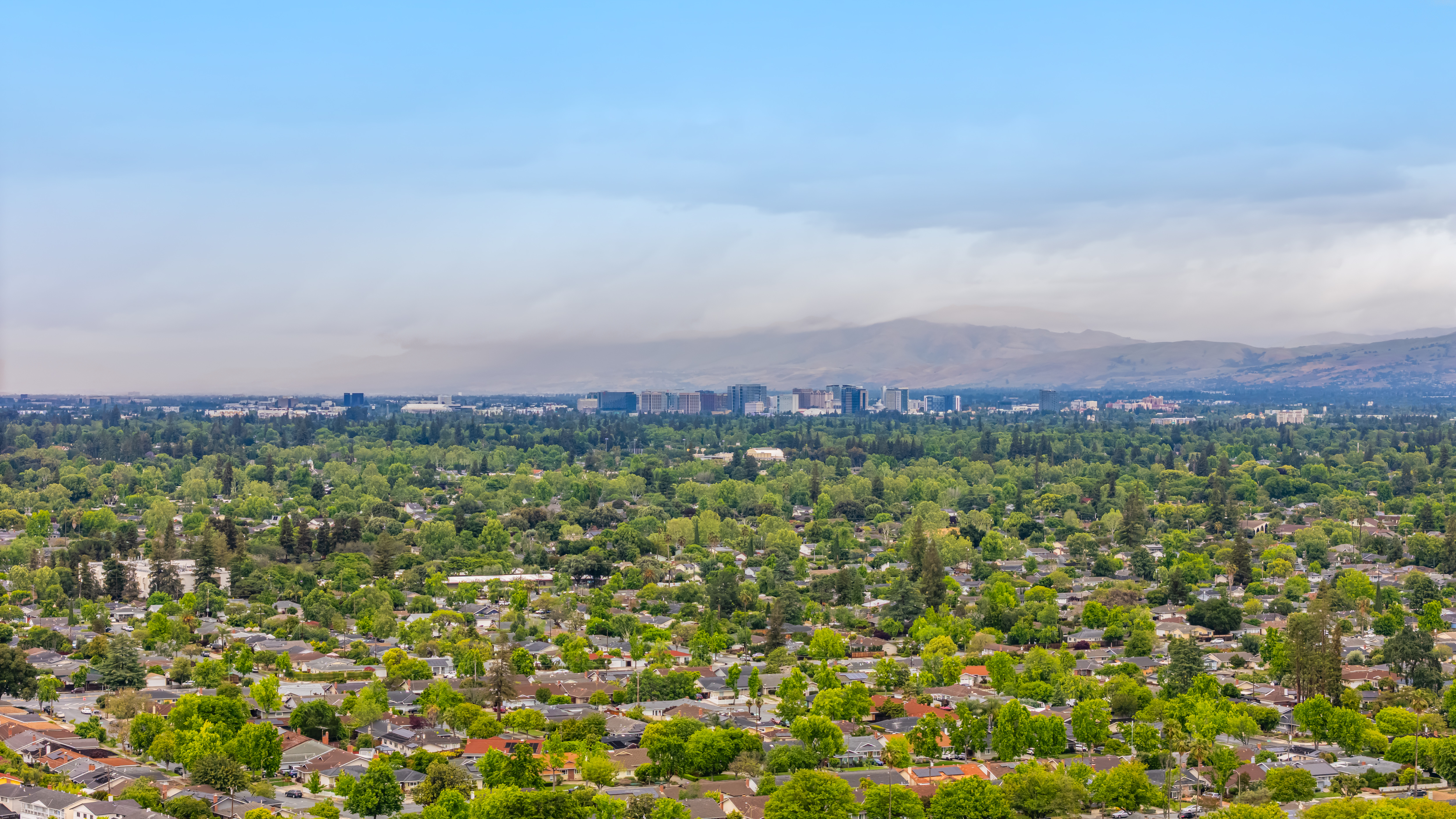  Shreen Court Charming Cul-de-Sac Home - 物件實景