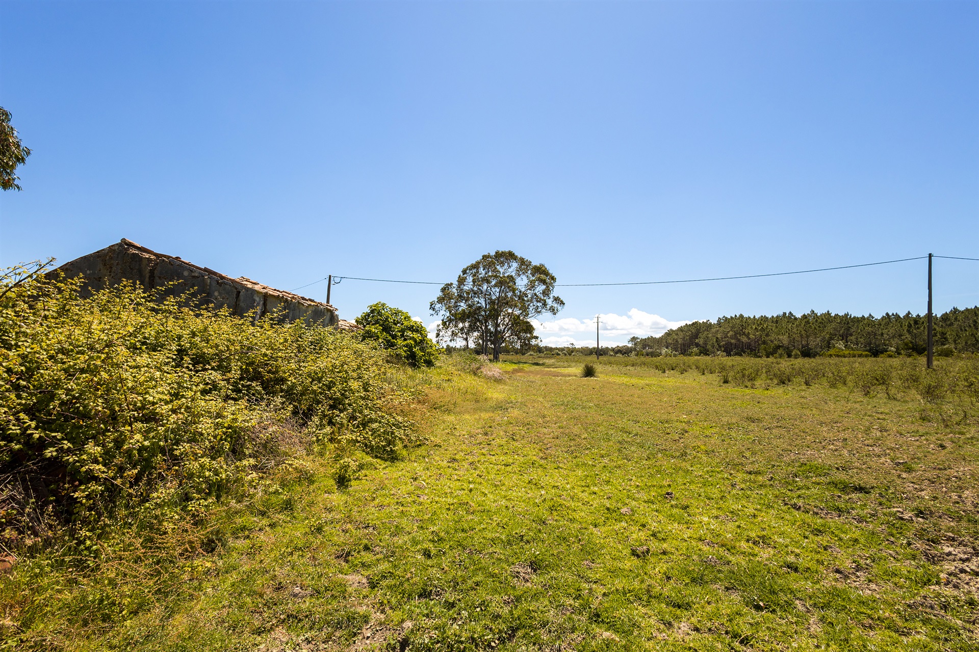 Terreno com ruina for Sale - 物件實景